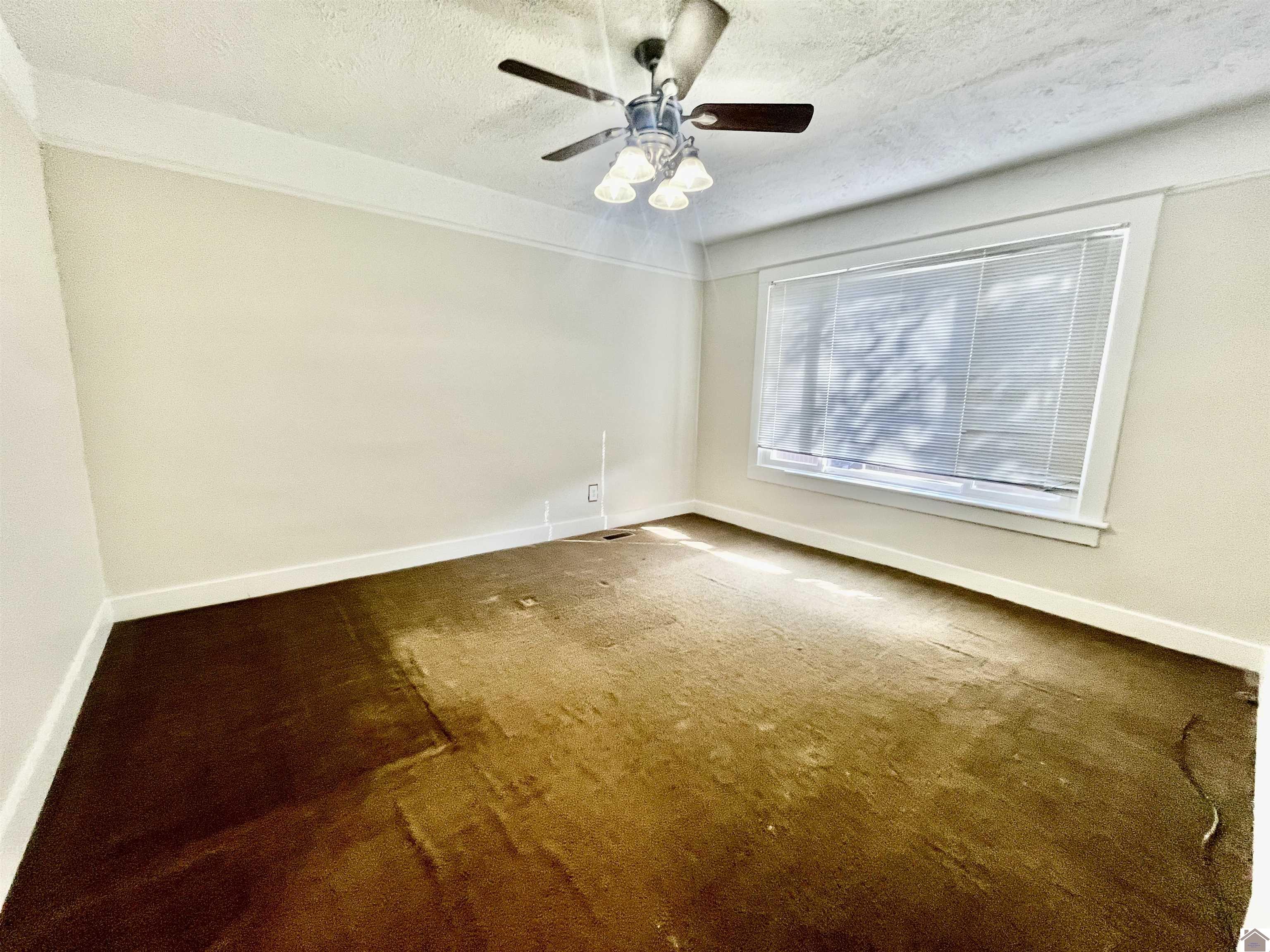 681 W Jefferson Street, Paducah, KY 42001 Listing Photo  15