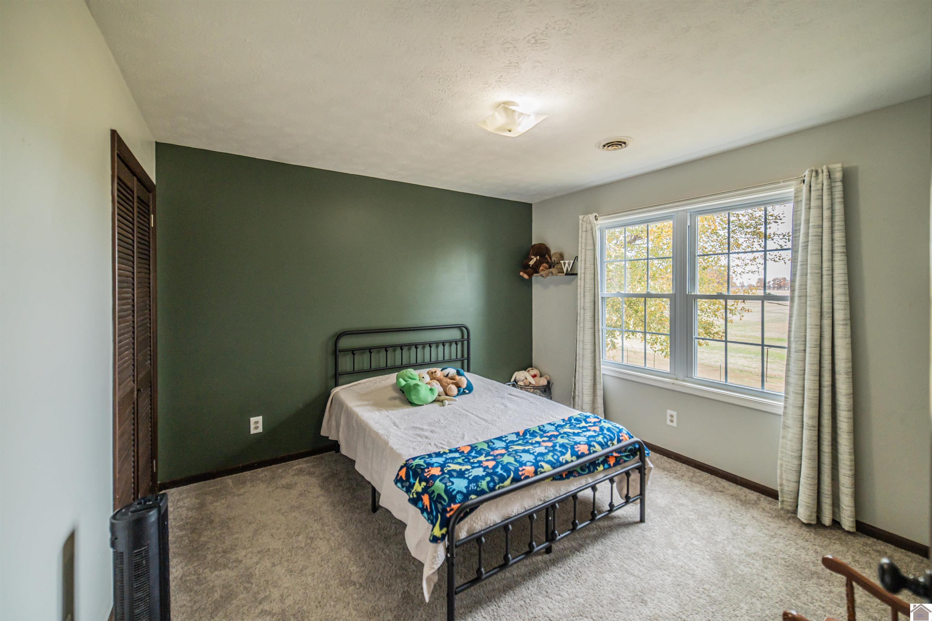 739 New Liberty Church Rd, KEVIL, KY 42053 Listing Photo  23
