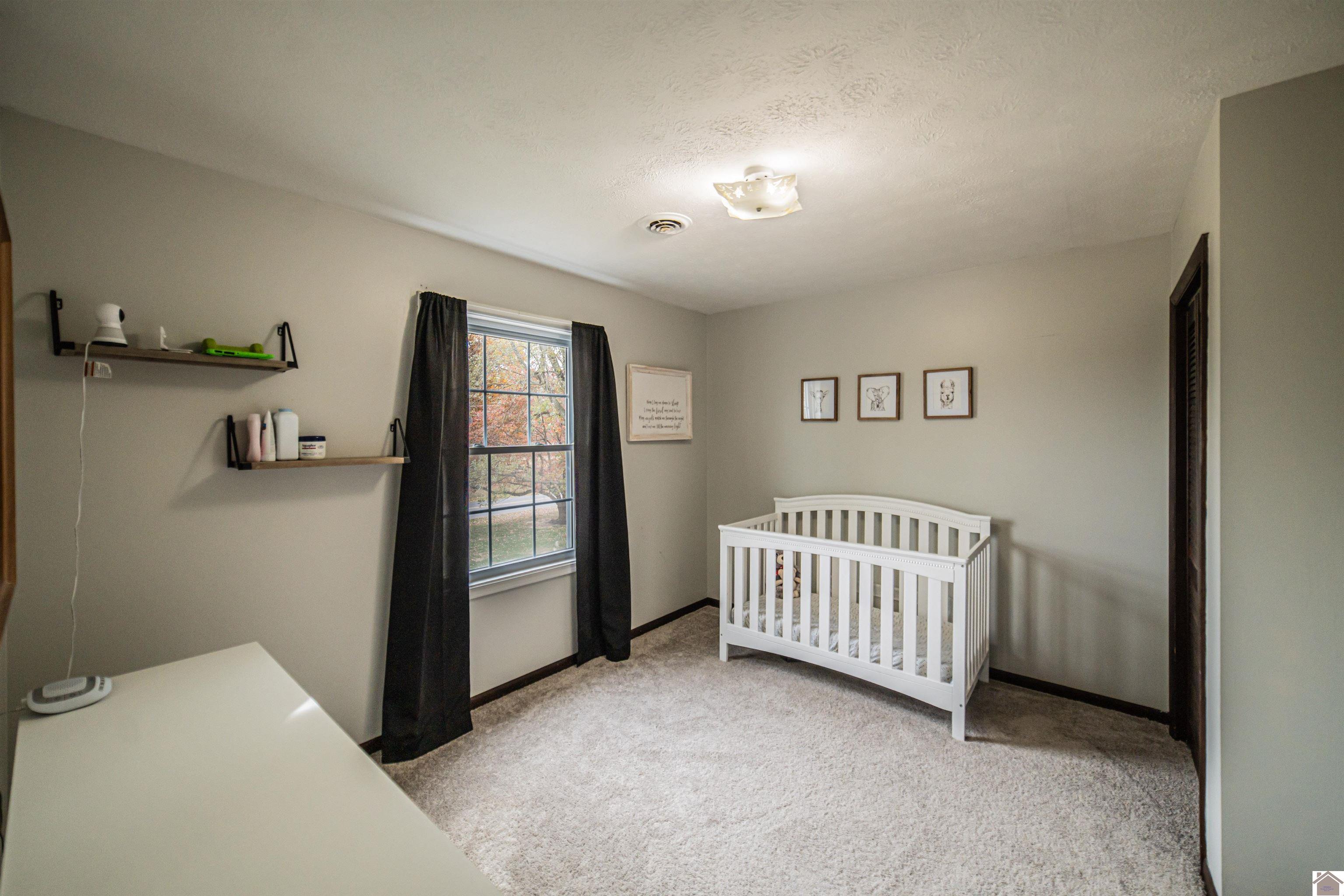 739 New Liberty Church Rd, KEVIL, KY 42053 Listing Photo  27