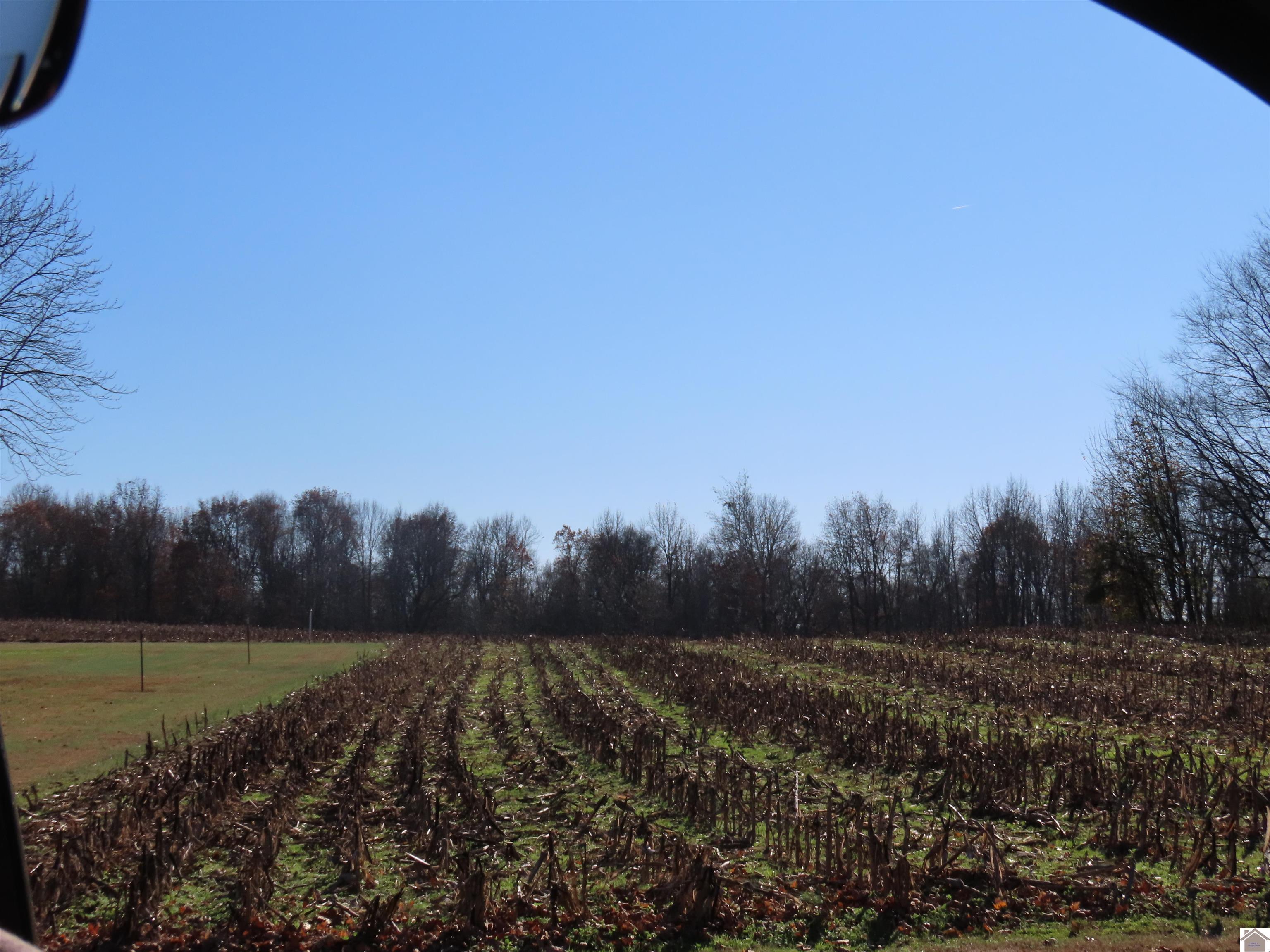 00 Boyd Rd, Wingo, KY 42088 Listing Photo  1