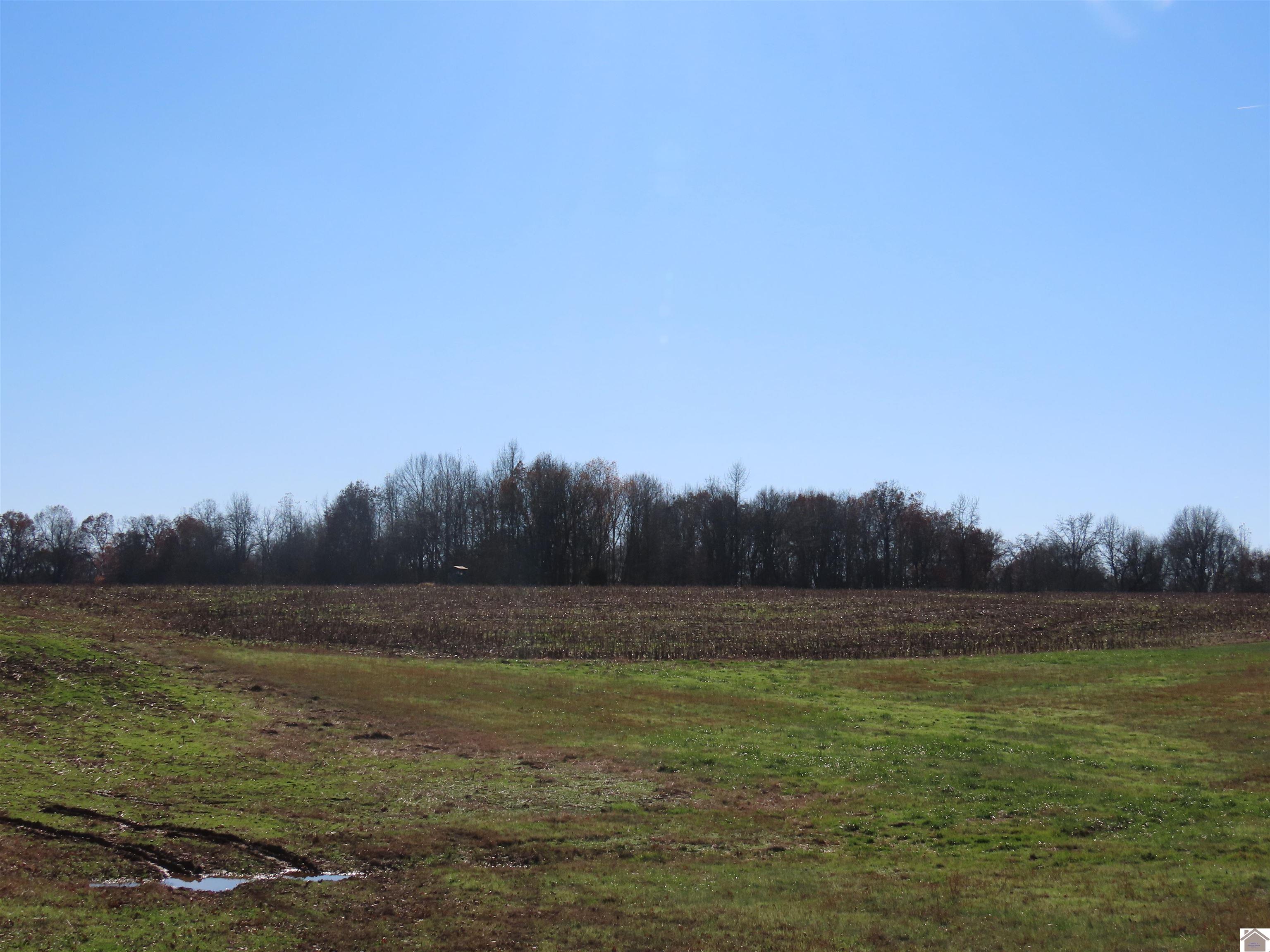 00 Boyd Rd, Wingo, KY 42088 Listing Photo  2