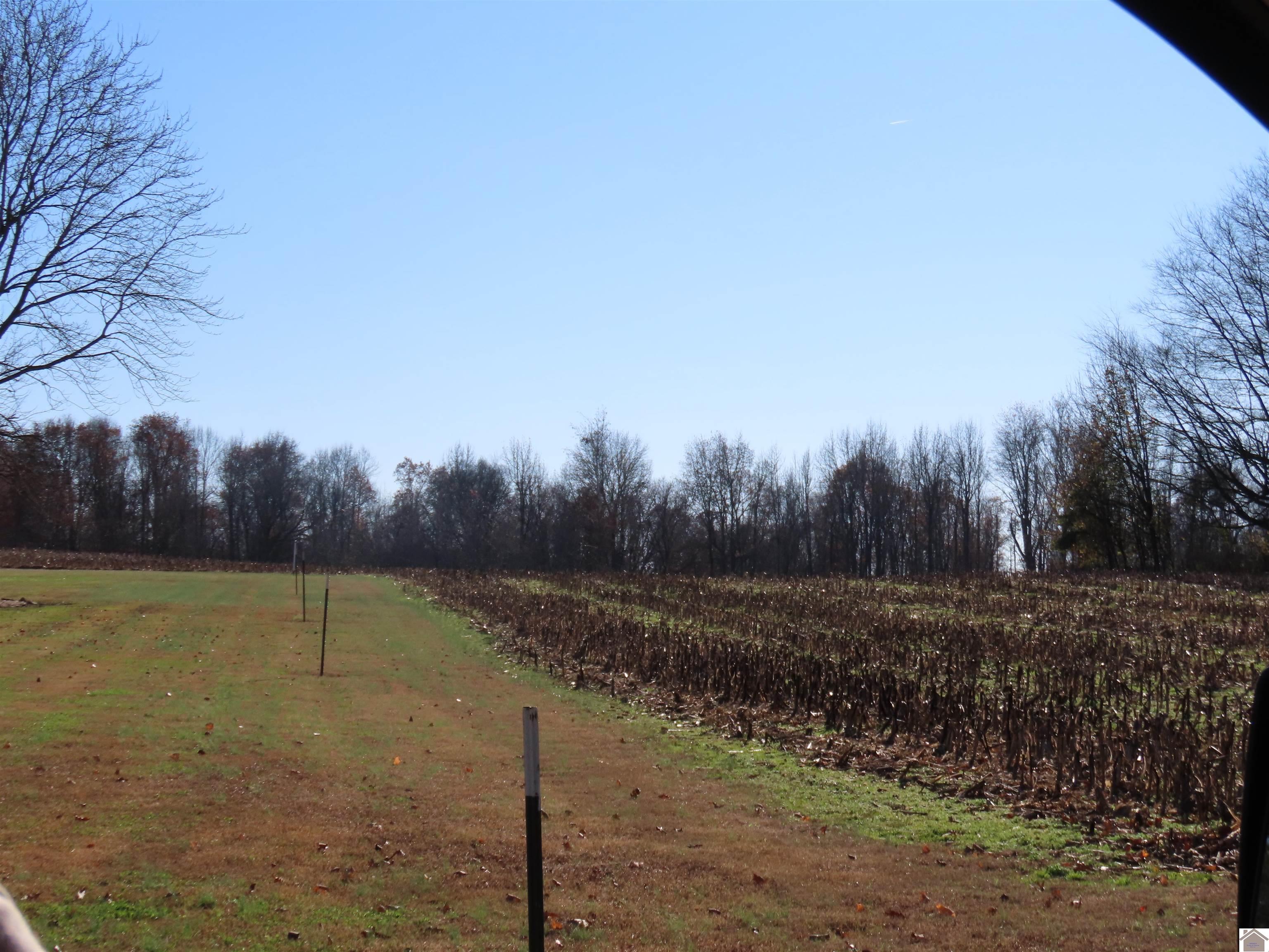 00 Boyd Rd, Wingo, KY 42088 Listing Photo  3