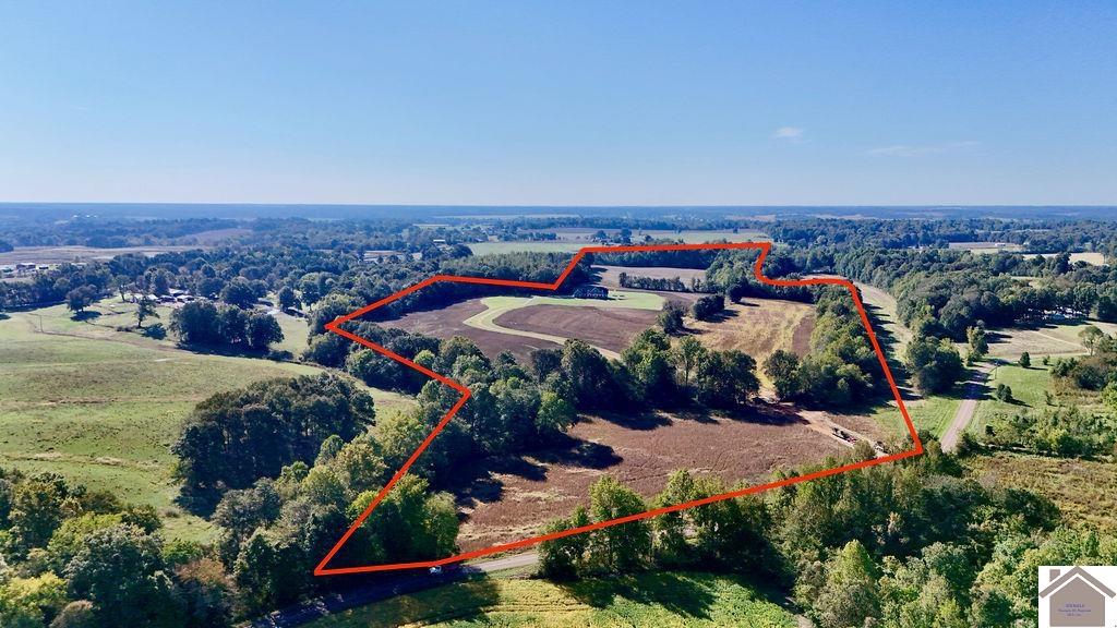 5073 State Route 1820, Cunningham, KY 42035 Listing Photo  4
