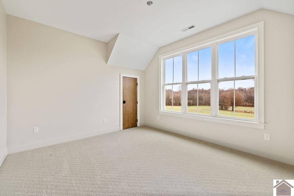 5073 State Route 1820, Cunningham, KY 42035 Listing Photo  45