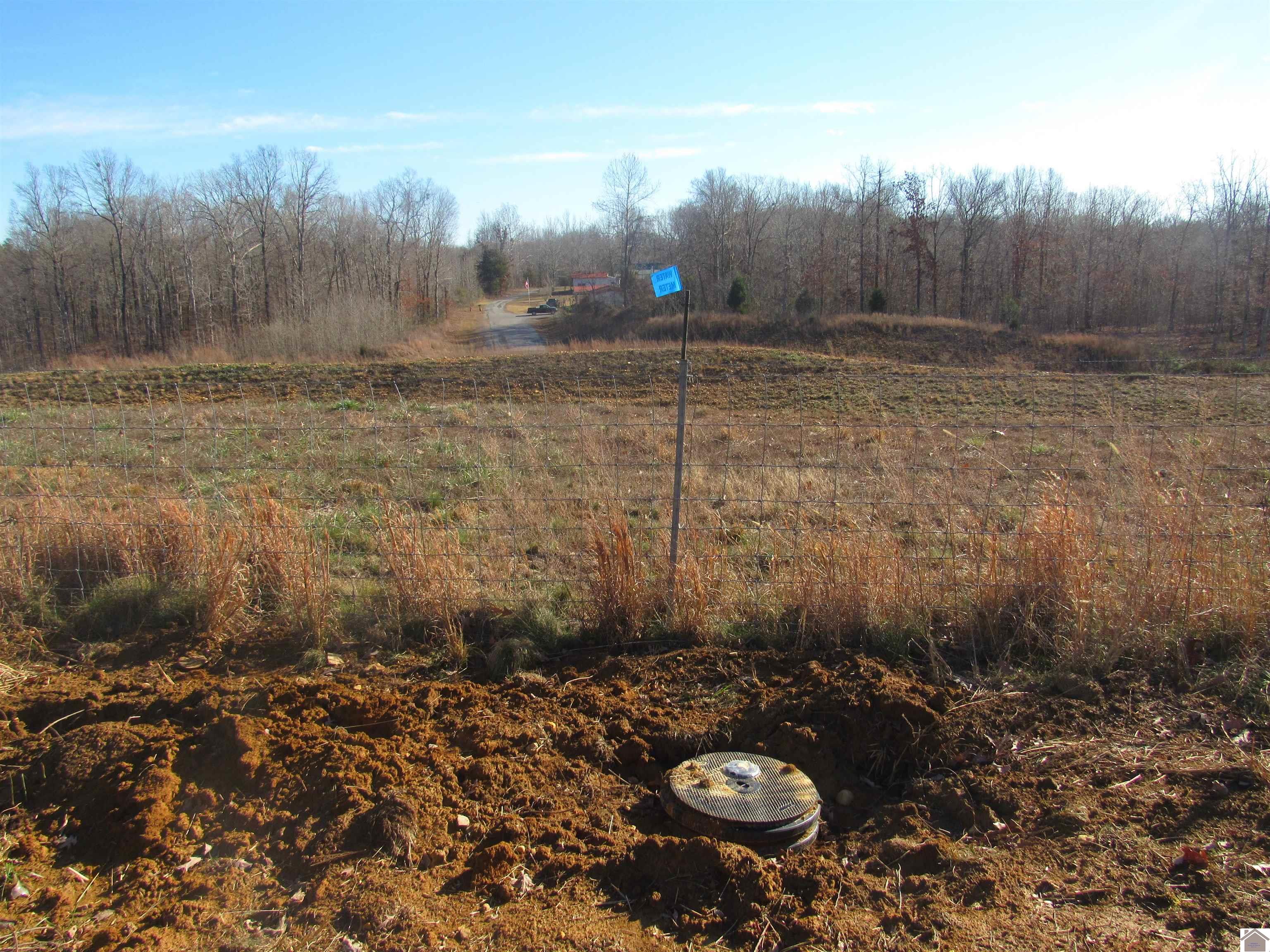 00 Cardwell Lane, Cadiz, KY 42211 Listing Photo  11