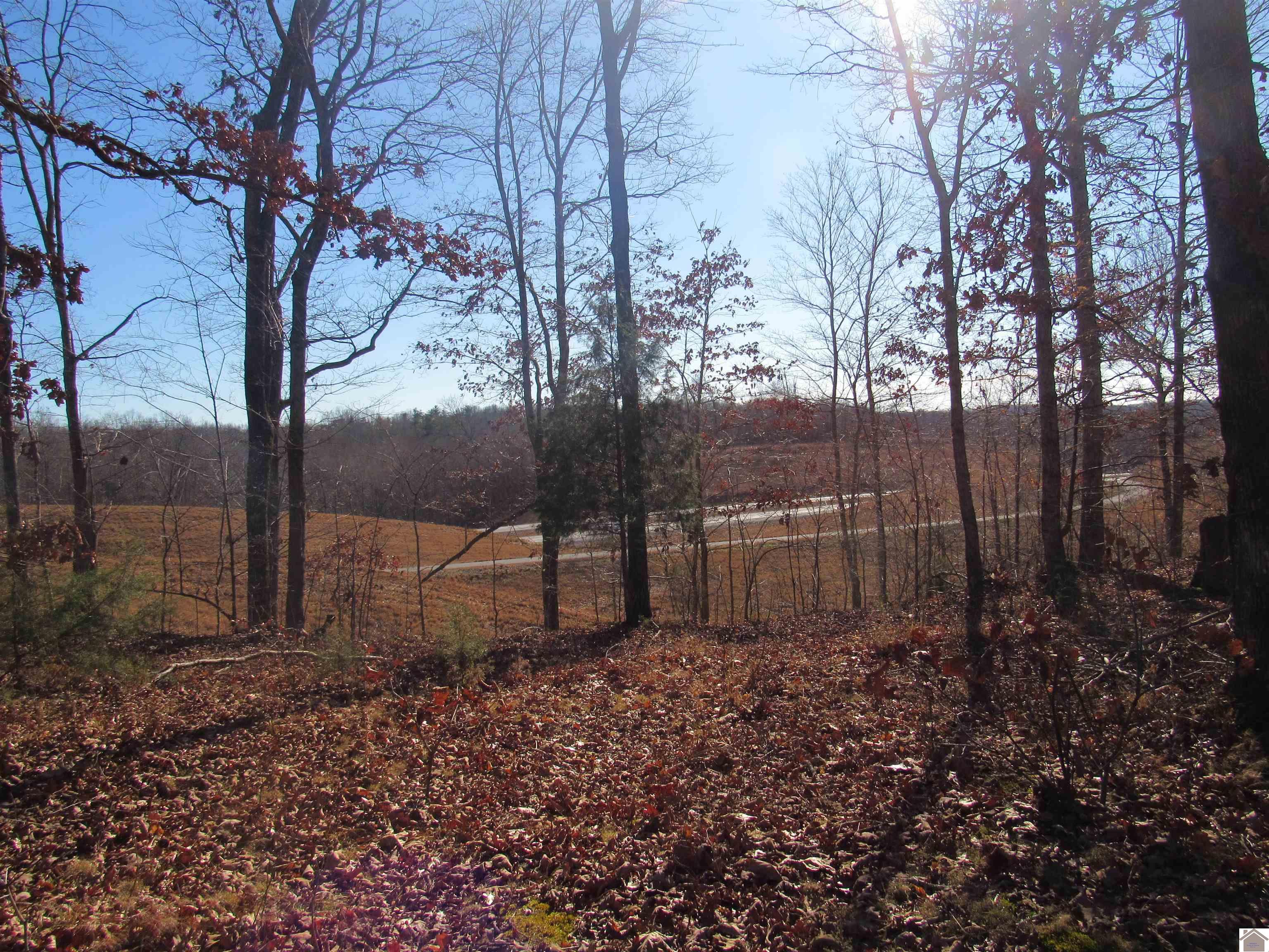 00 Cardwell Lane, Cadiz, KY 42211 Listing Photo  14