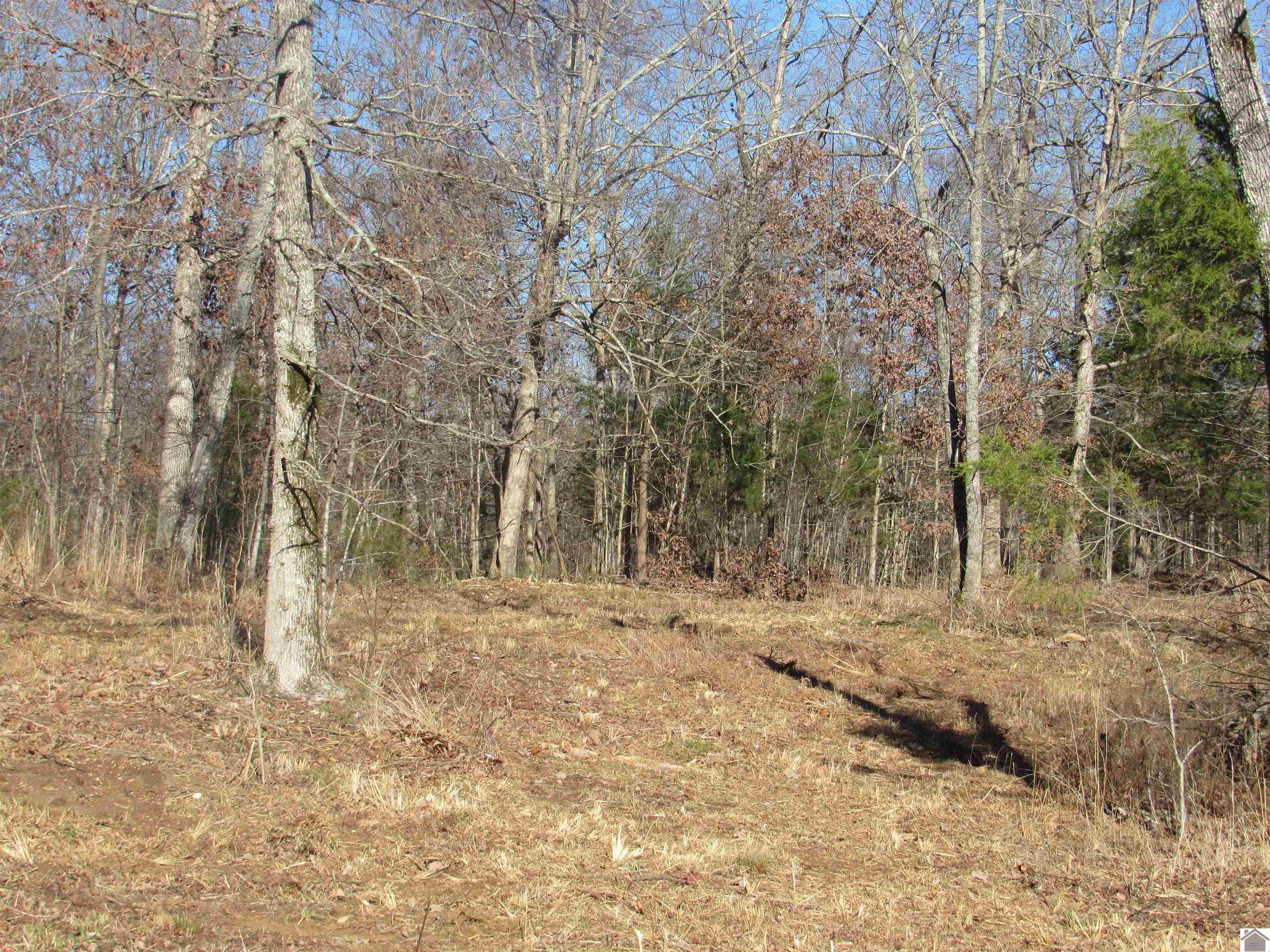 00 Cardwell Lane, Cadiz, KY 42211 Listing Photo  16