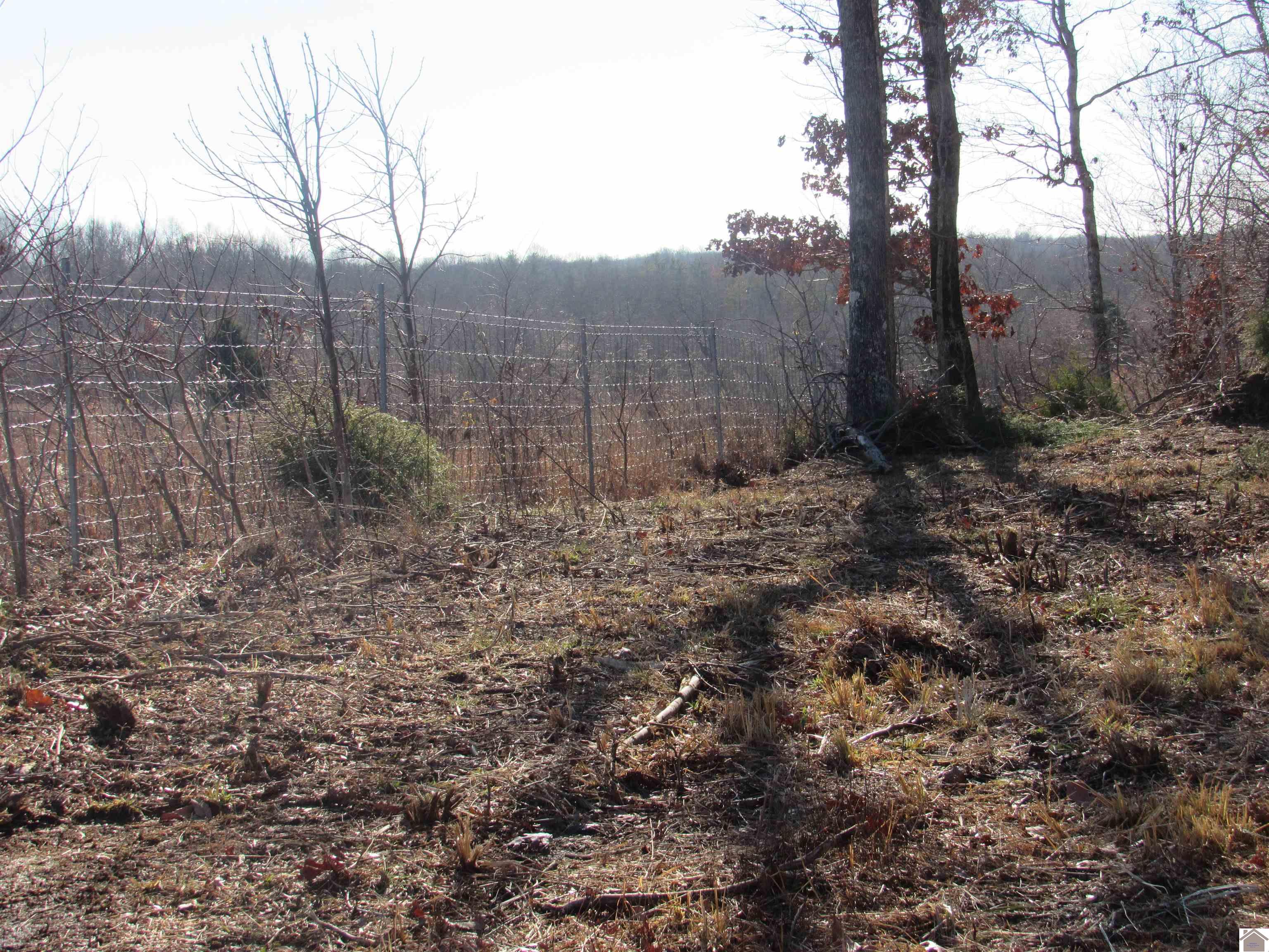 00 Cardwell Lane, Cadiz, KY 42211 Listing Photo  17