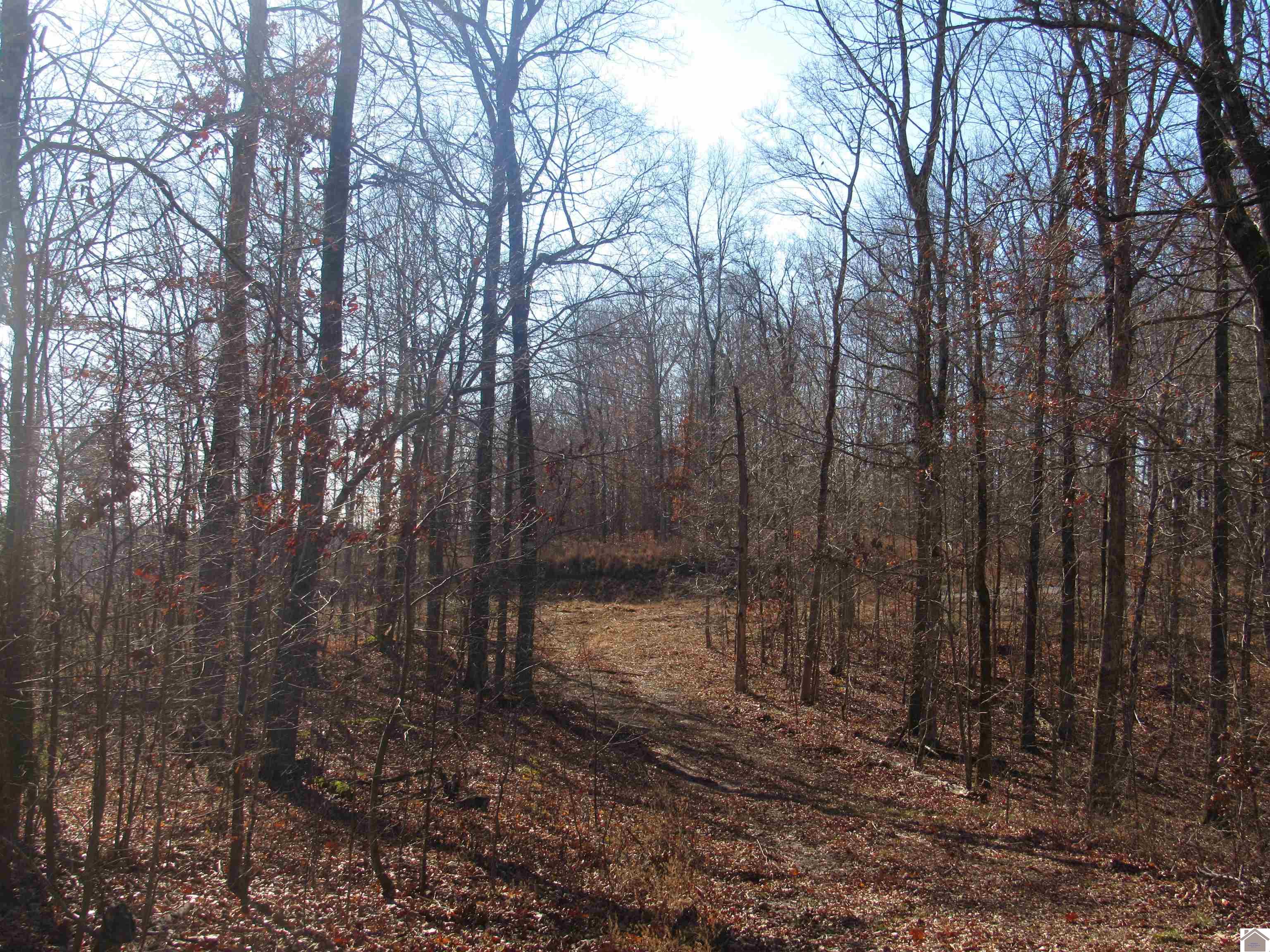 00 Cardwell Lane, Cadiz, KY 42211 Listing Photo  20