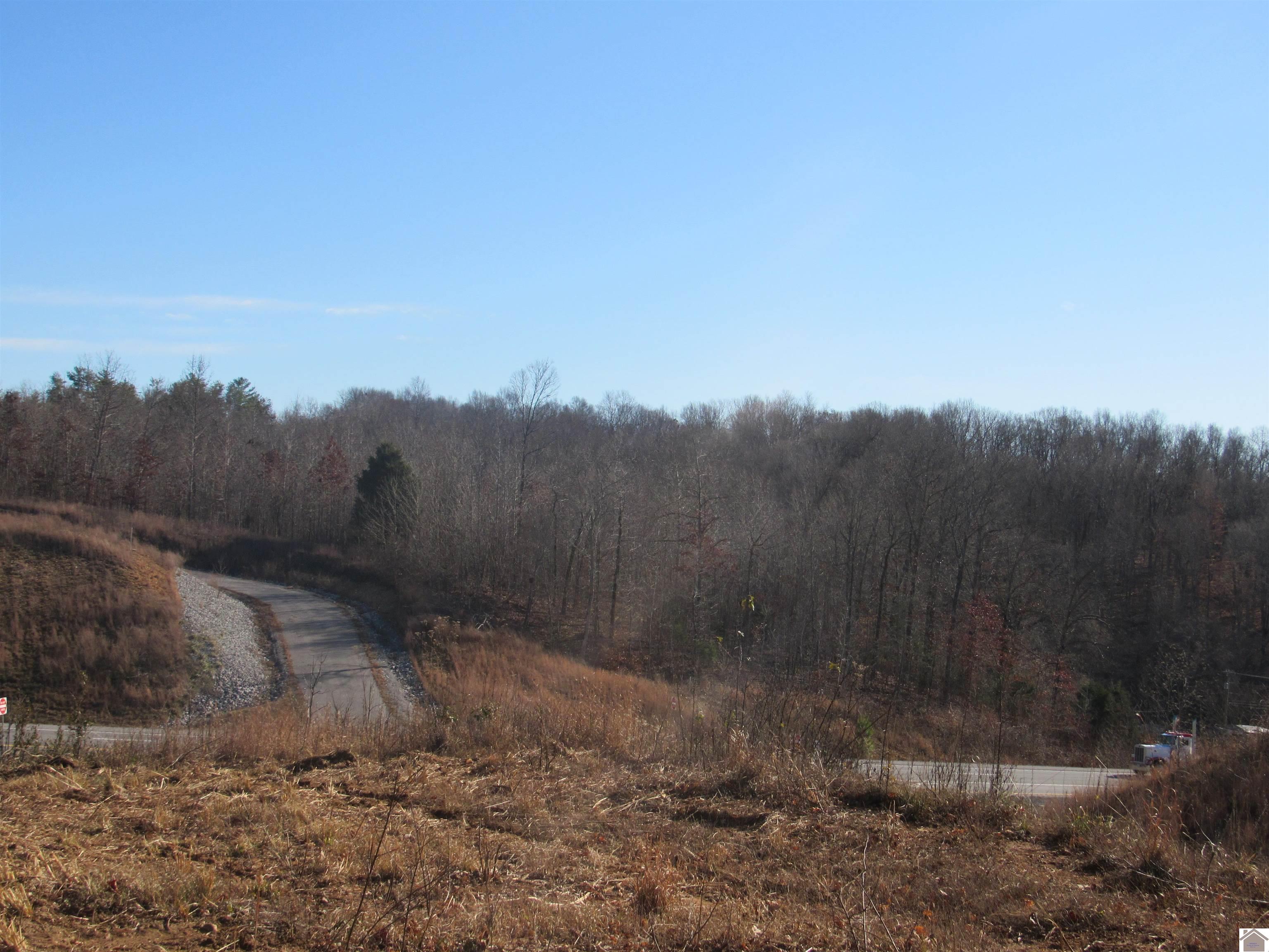 00 Cardwell Lane, Cadiz, KY 42211 Listing Photo  21