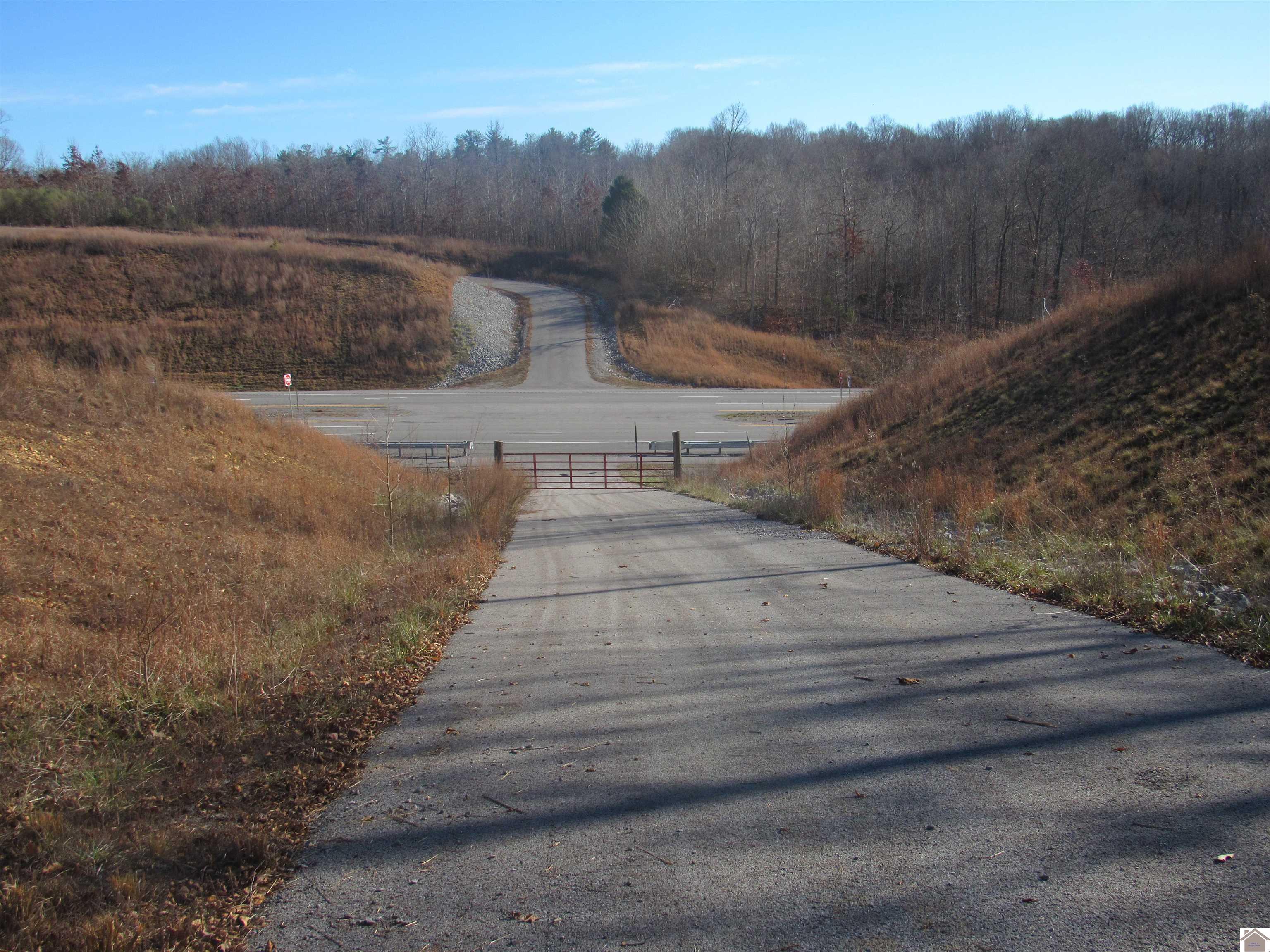 00 Cardwell Lane, Cadiz, KY 42211 Listing Photo  22