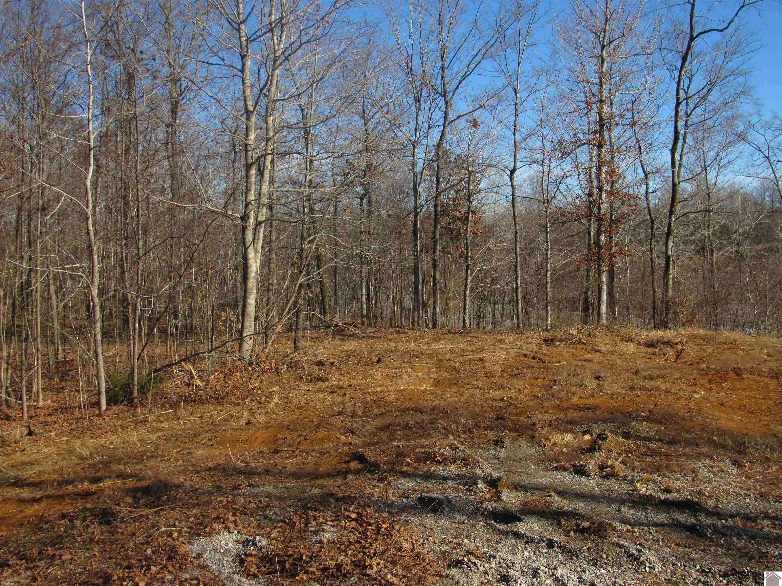 00 Cardwell Lane, Cadiz, KY 42211 Listing Photo  23