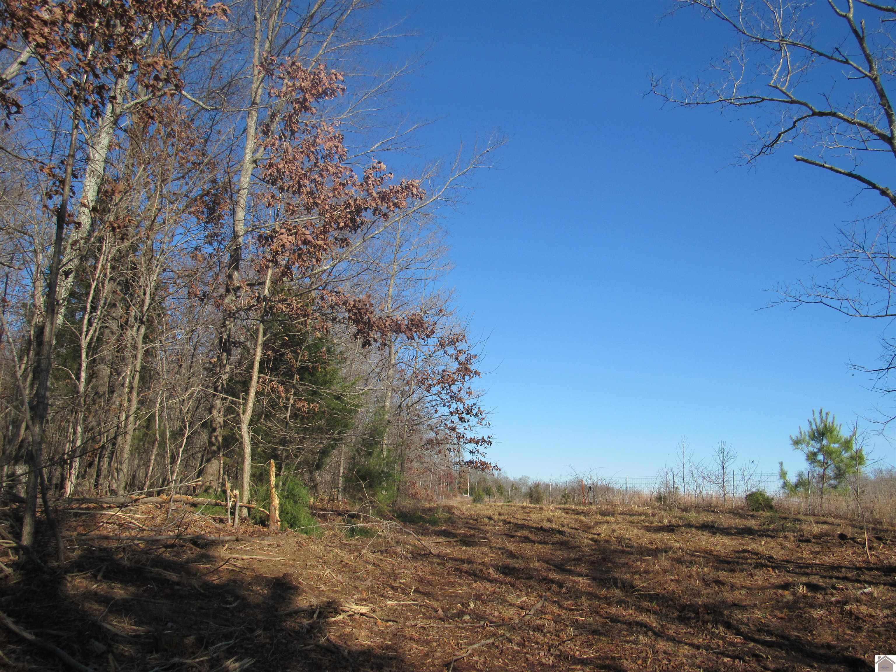00 Cardwell Lane, Cadiz, KY 42211 Listing Photo  26