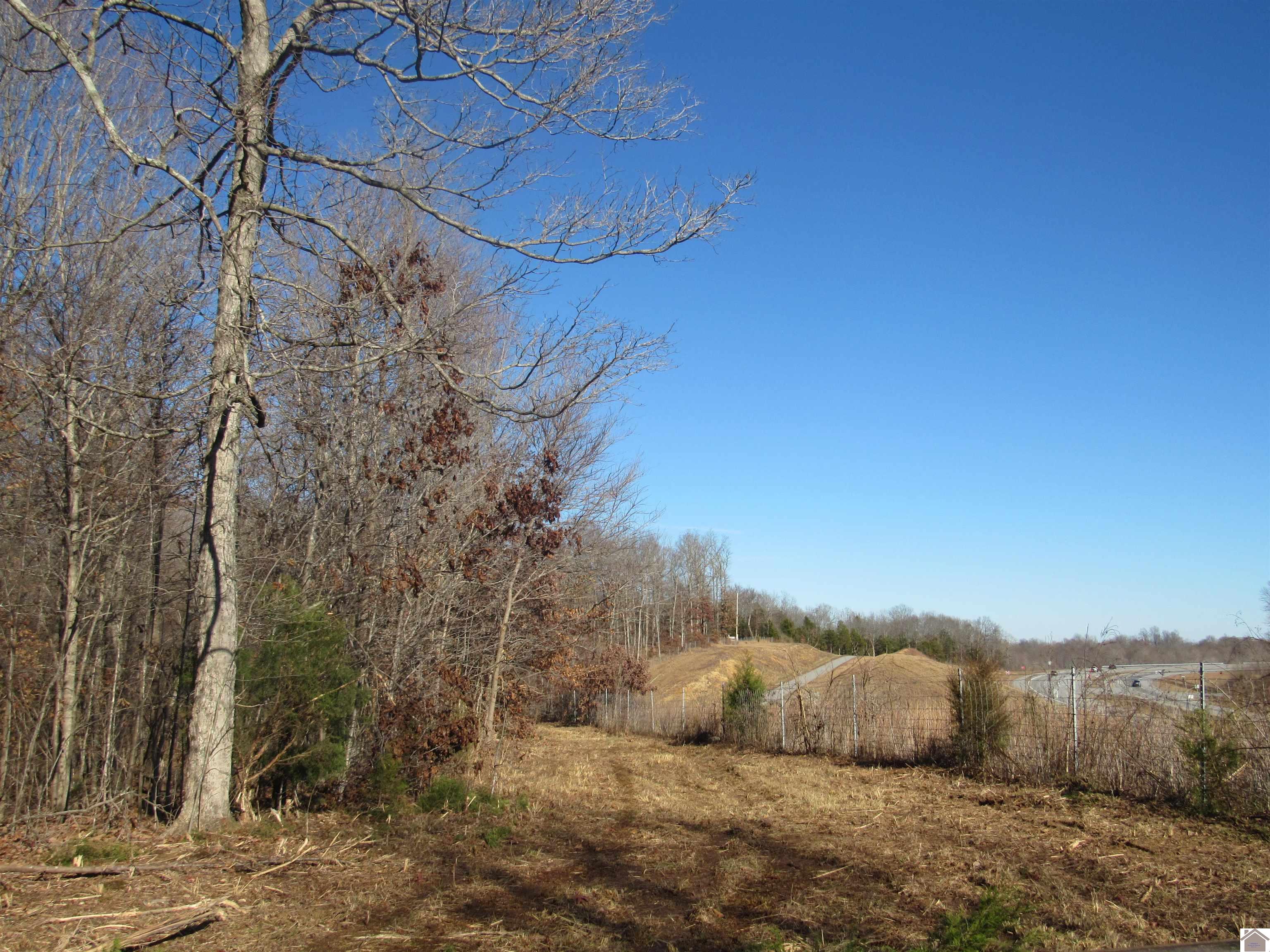 00 Cardwell Lane, Cadiz, KY 42211 Listing Photo  27