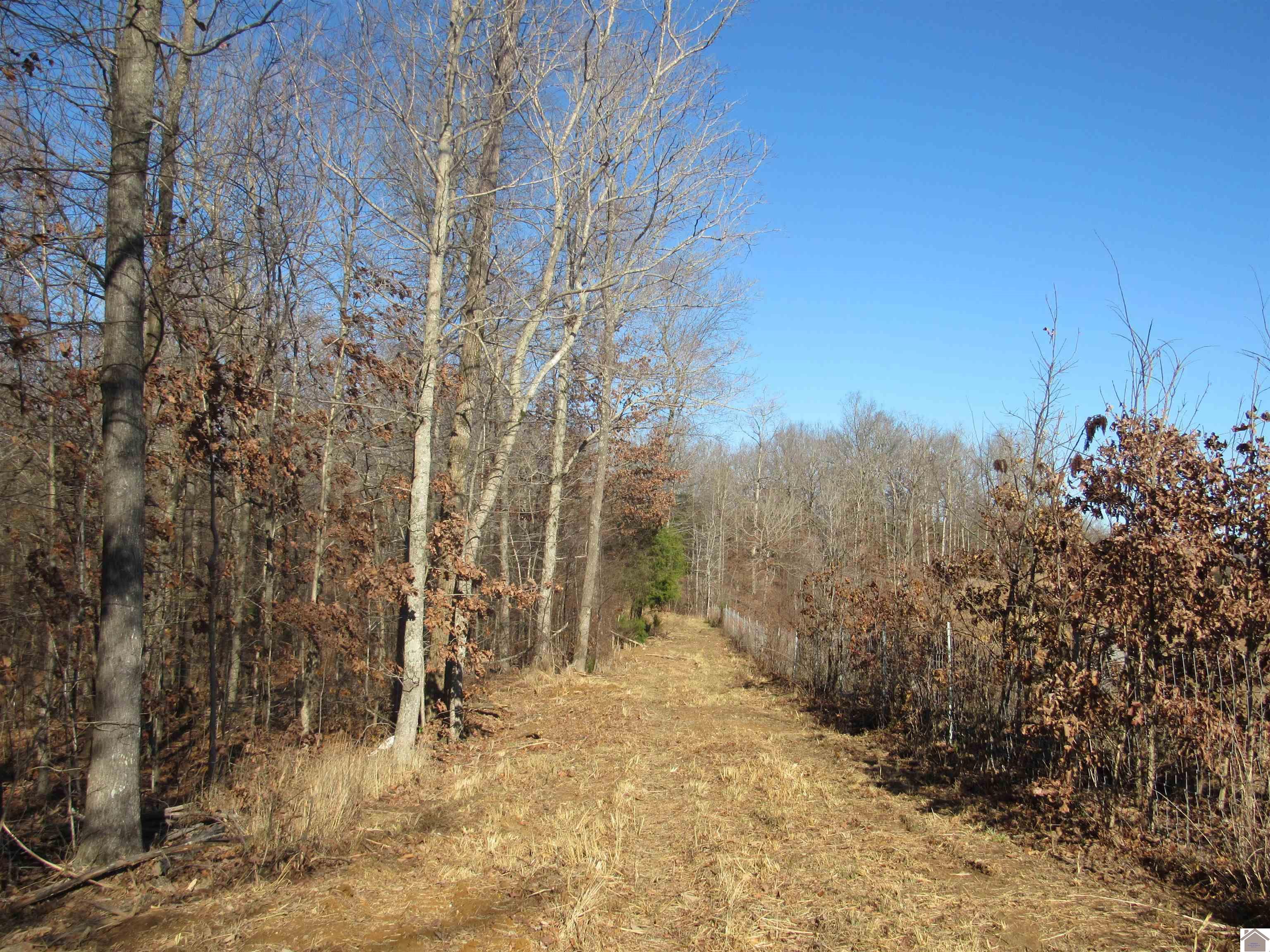 00 Cardwell Lane, Cadiz, KY 42211 Listing Photo  28