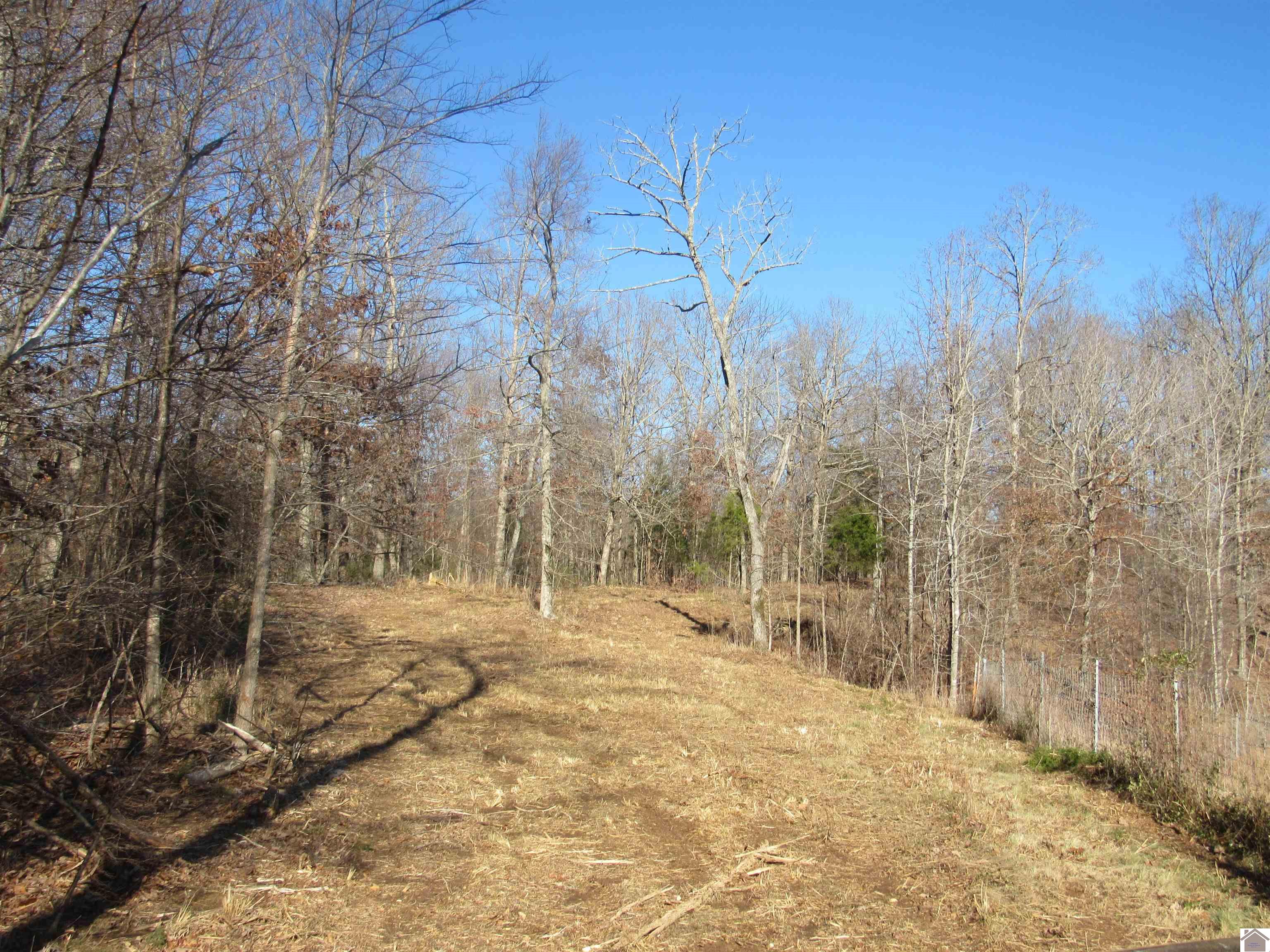 00 Cardwell Lane, Cadiz, KY 42211 Listing Photo  29