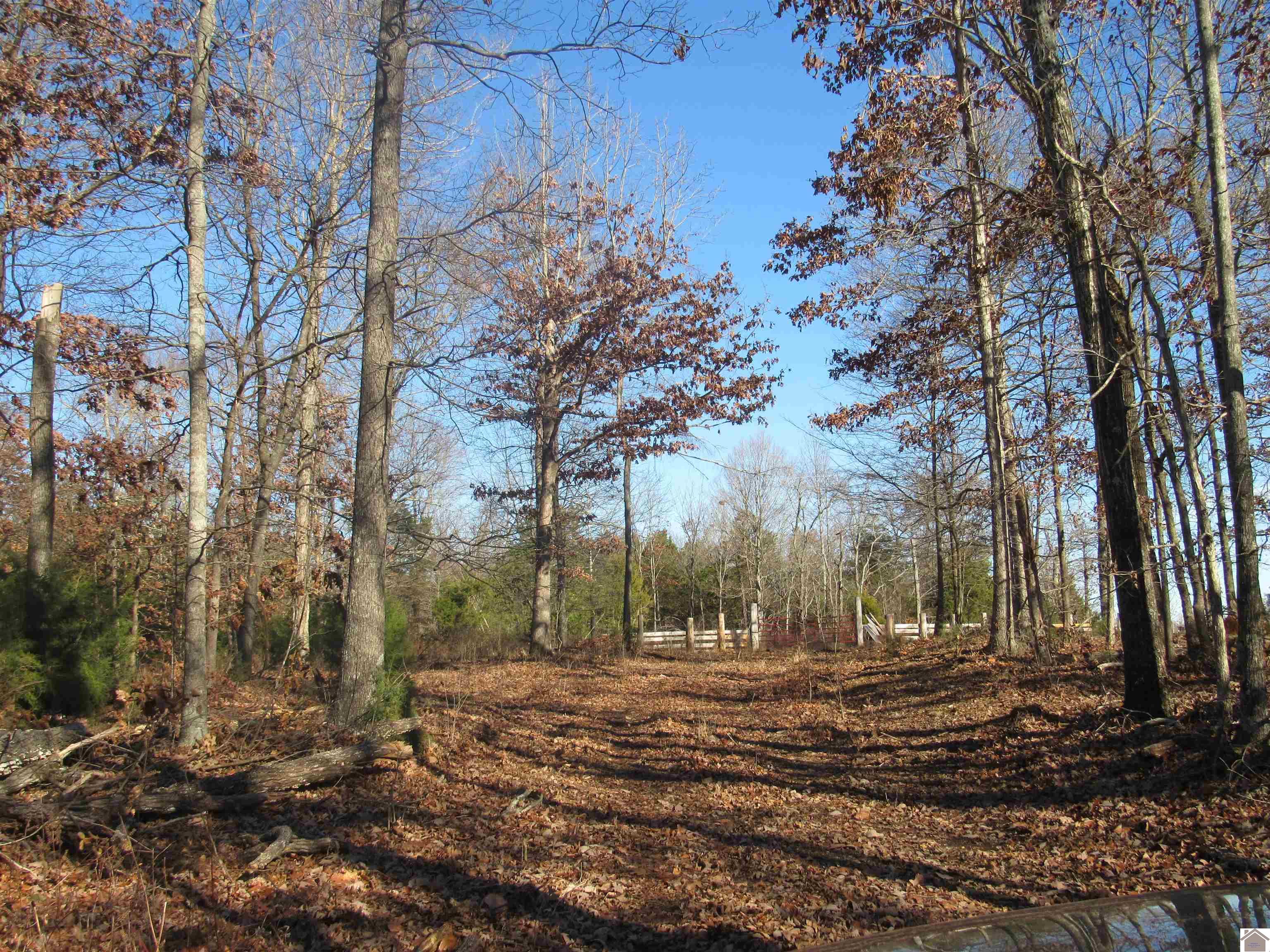 00 Cardwell Lane, Cadiz, KY 42211 Listing Photo  31