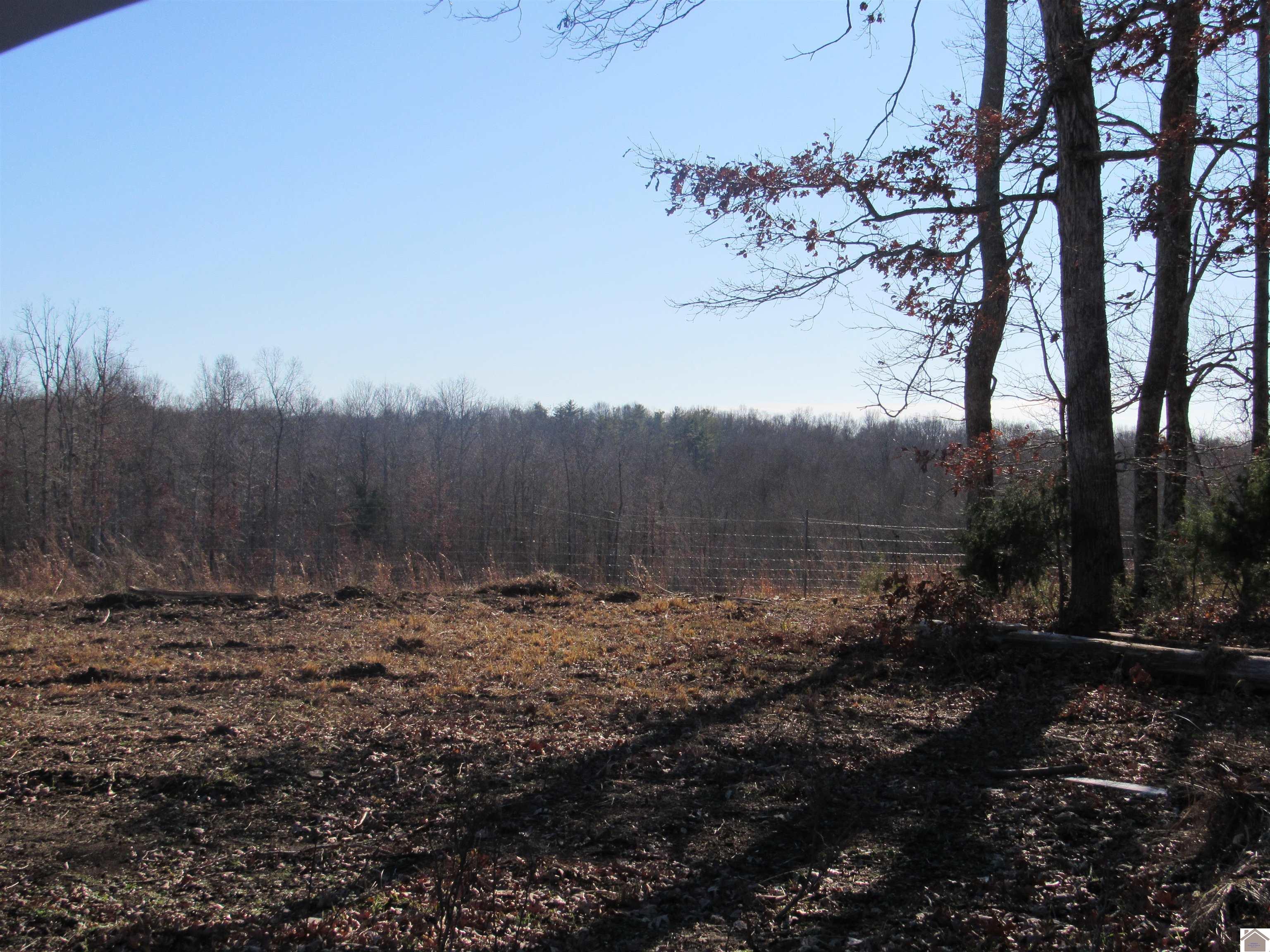 00 Cardwell Lane, Cadiz, KY 42211 Listing Photo  33