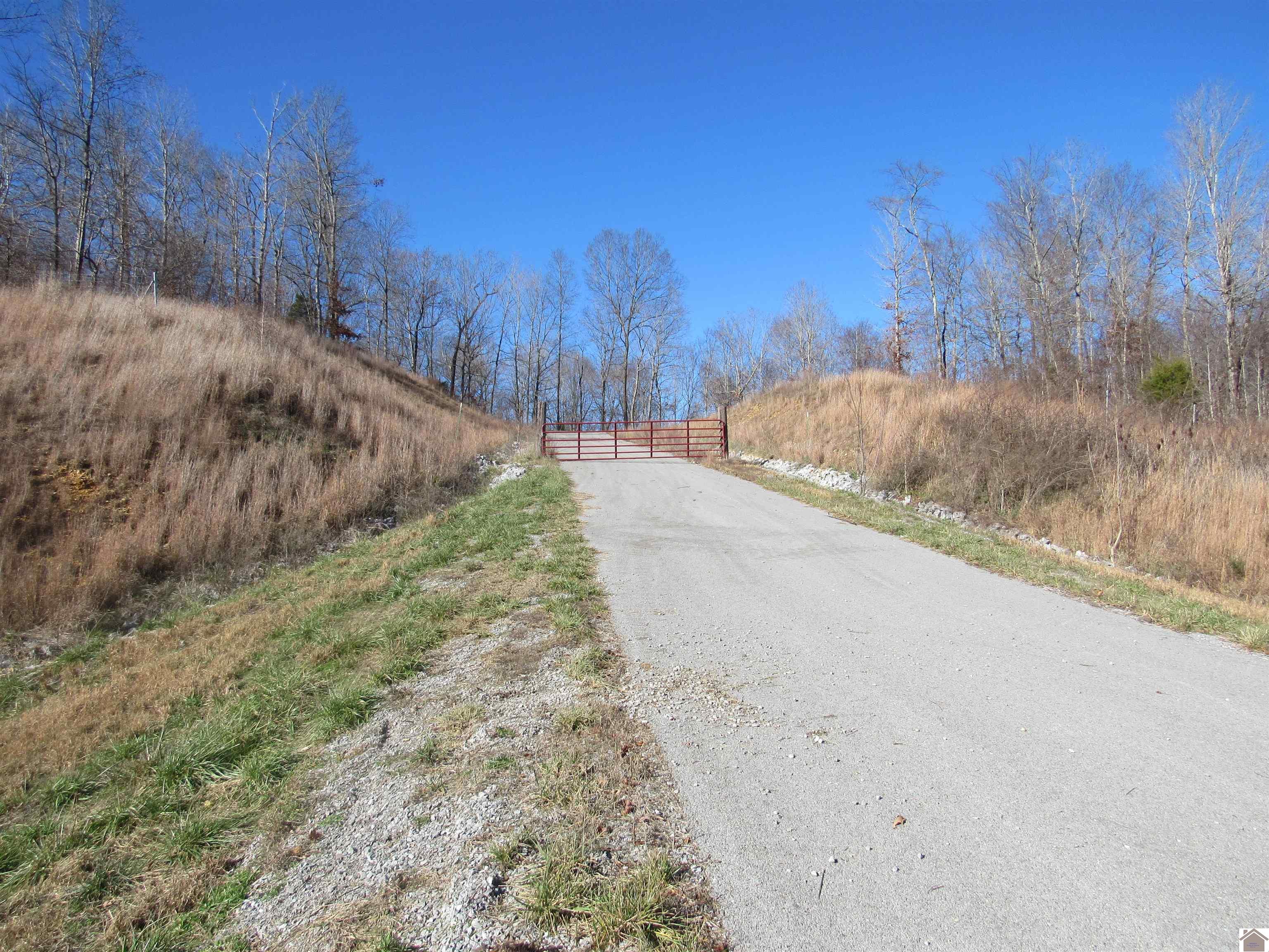 00 Cardwell Lane, Cadiz, KY 42211 Listing Photo  8