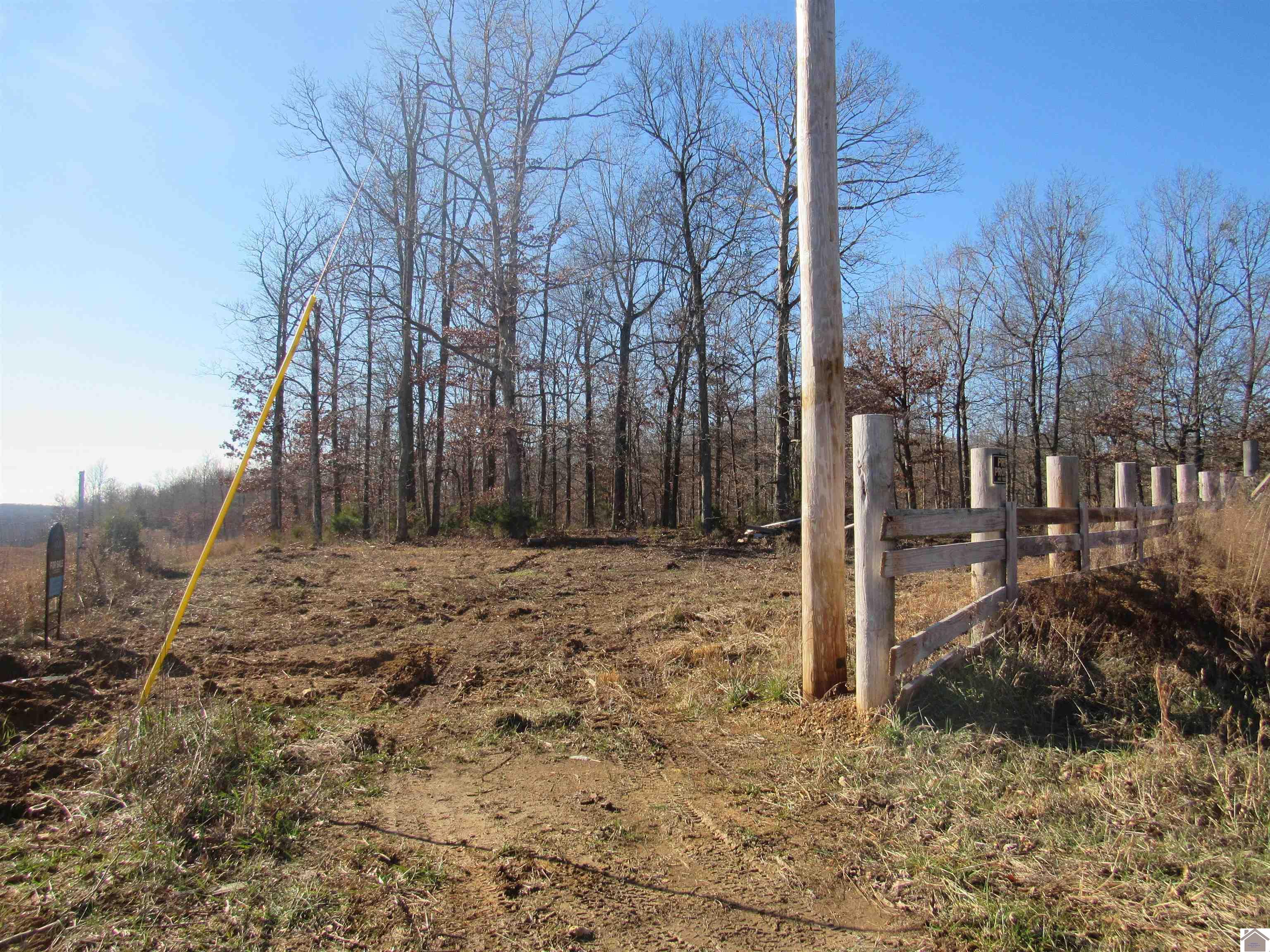 00 Cardwell Lane, Cadiz, KY 42211 Listing Photo  10