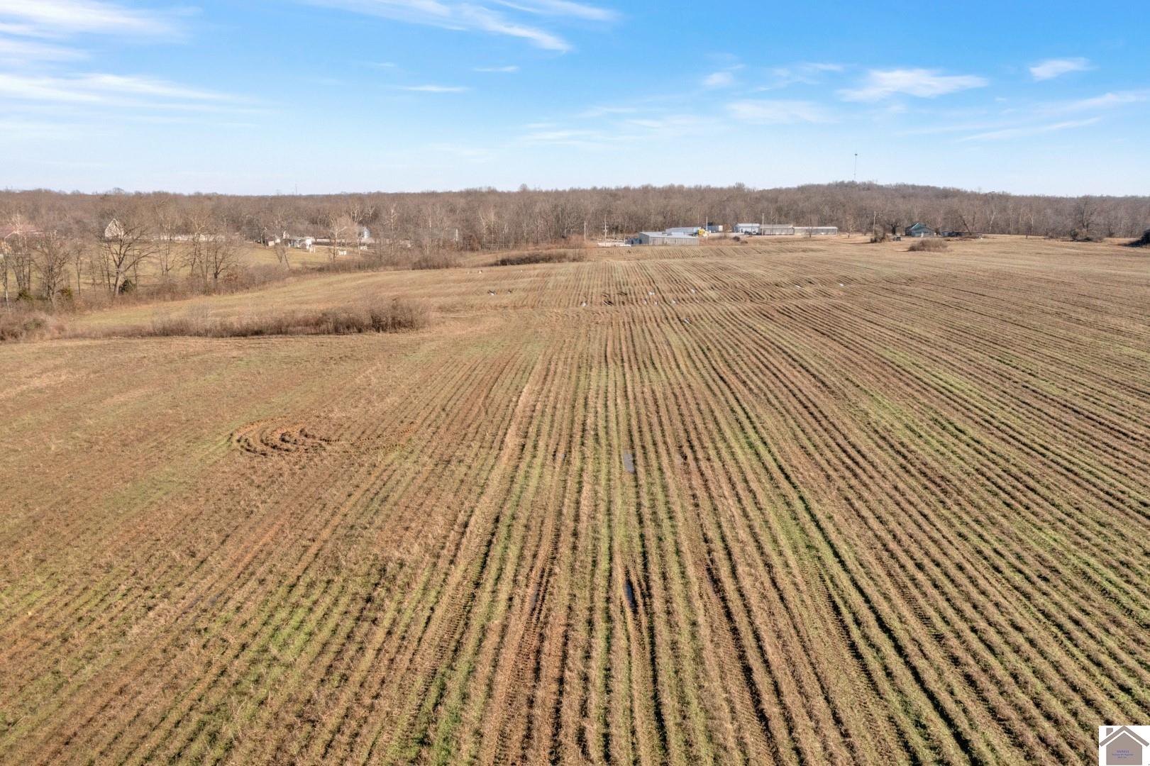 000 Madisonville Rd, Hopkinsville, KY 42240 Listing Photo  4