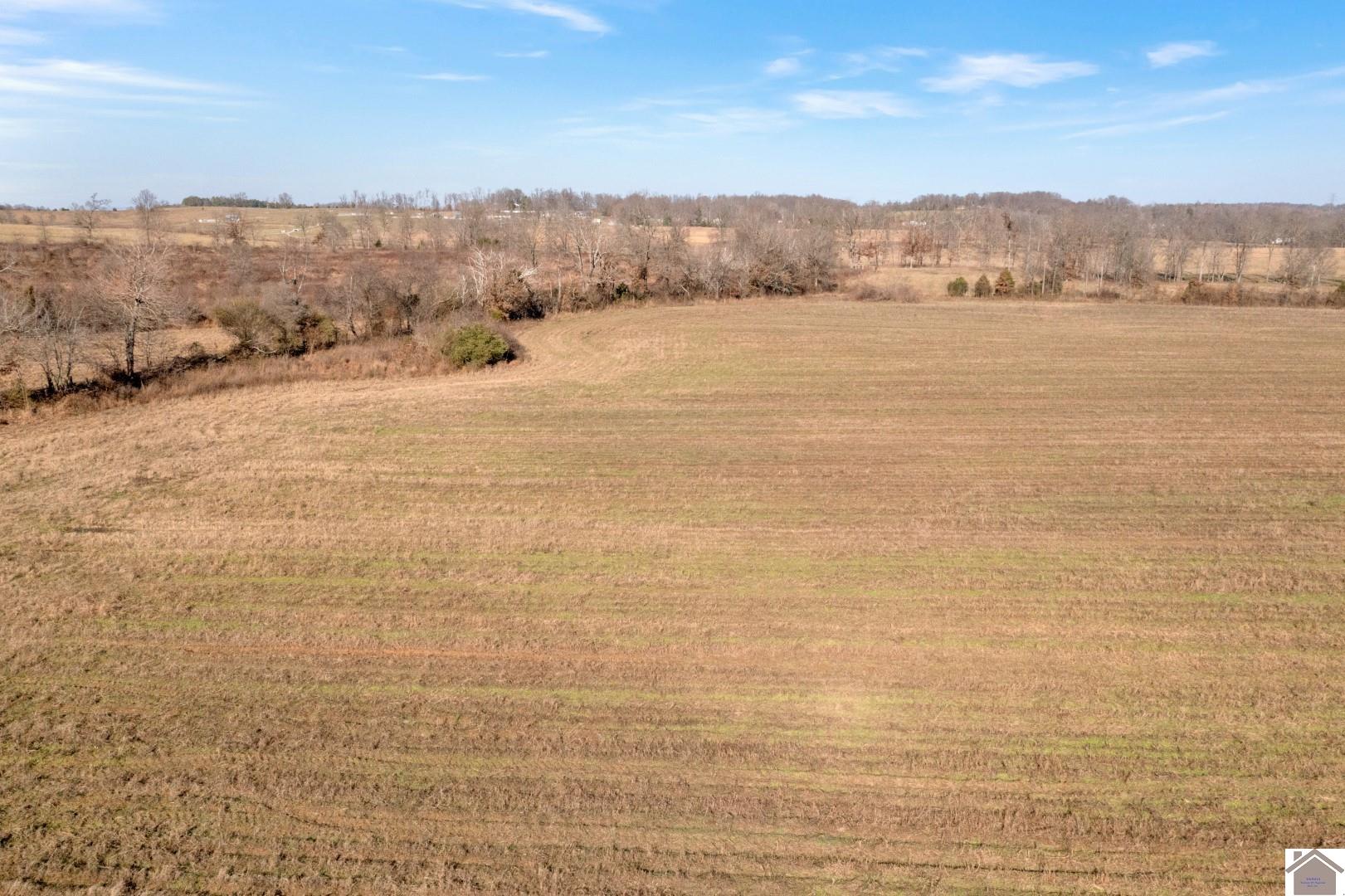 000 Madisonville Rd, Hopkinsville, KY 42240 Listing Photo  7