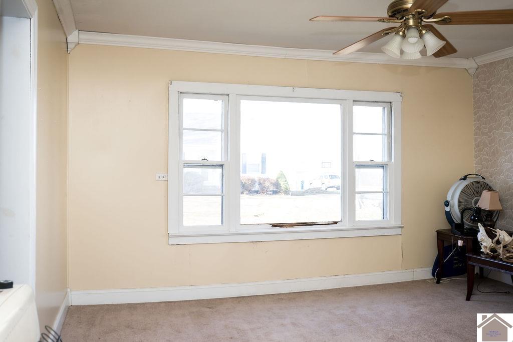 130 State Route 1820, Cunningham, KY 42035 Listing Photo  32