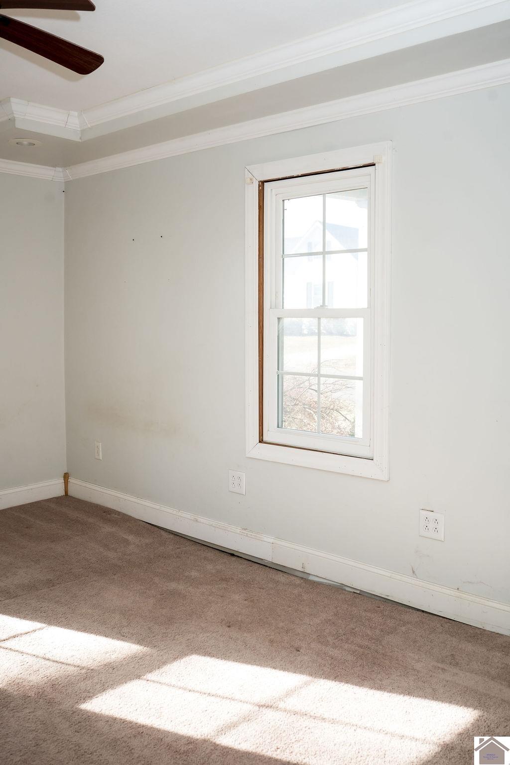 130 State Route 1820, Cunningham, KY 42035 Listing Photo  34