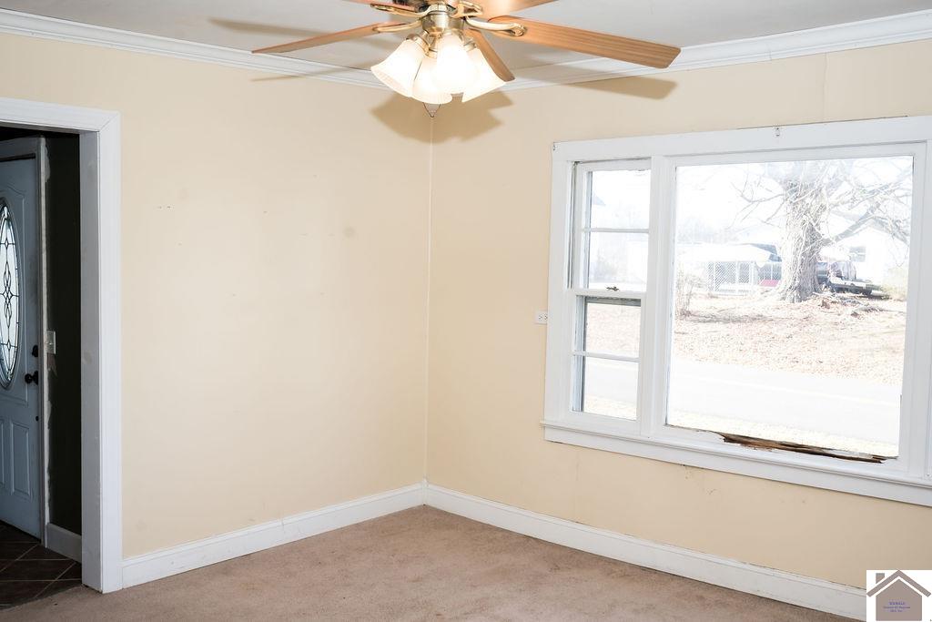 130 State Route 1820, Cunningham, KY 42035 Listing Photo  35