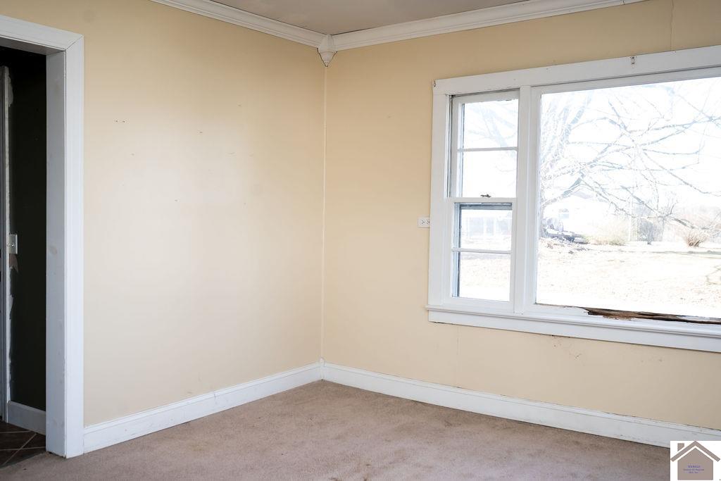 130 State Route 1820, Cunningham, KY 42035 Listing Photo  36