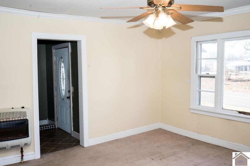130 State Route 1820, Cunningham, KY 42035 Listing Photo  37