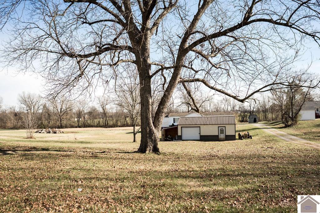 130 State Route 1820, Cunningham, KY 42035 Listing Photo  6