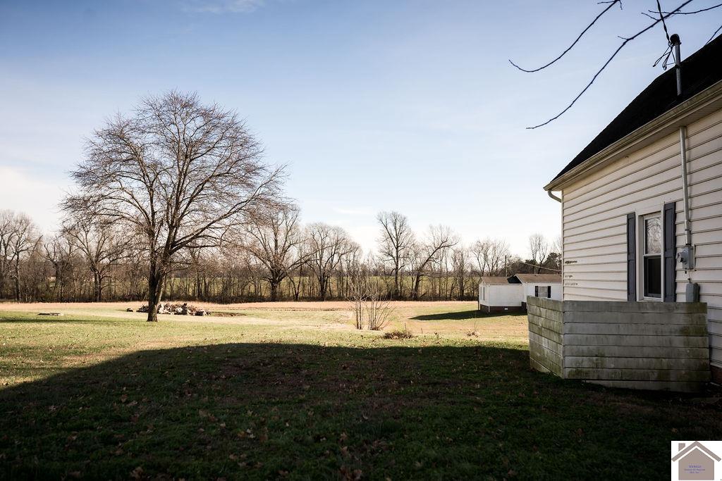 130 State Route 1820, Cunningham, KY 42035 Listing Photo  7
