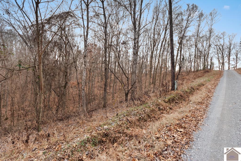 000 Hurricane Circle, Cadiz, KY 42211 Listing Photo  4