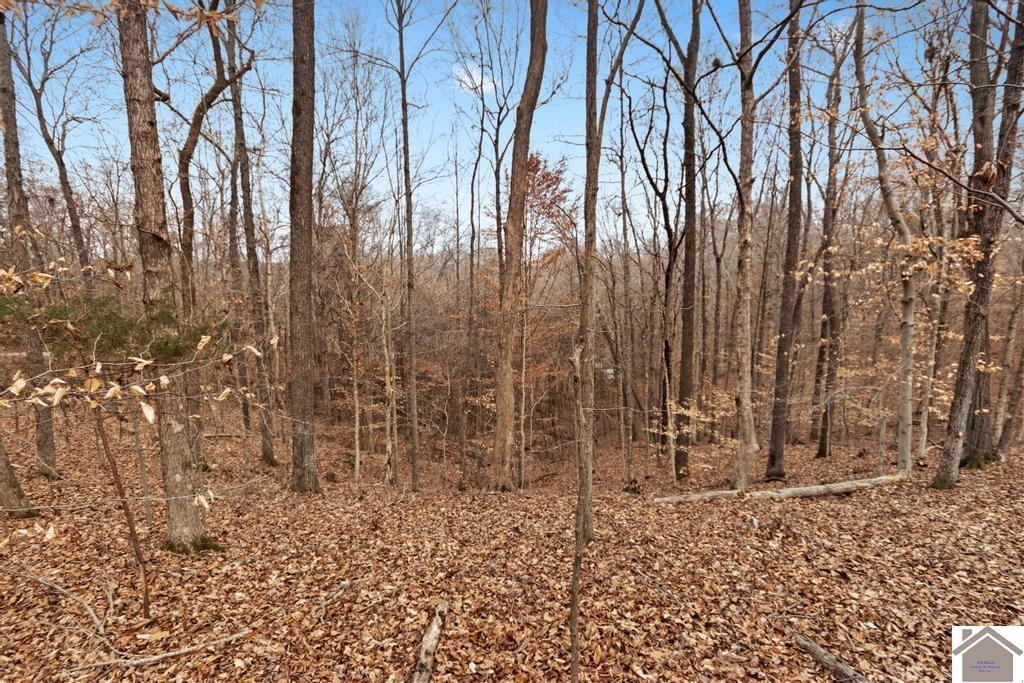 000 Hurricane Circle, Cadiz, KY 42211 Listing Photo  5