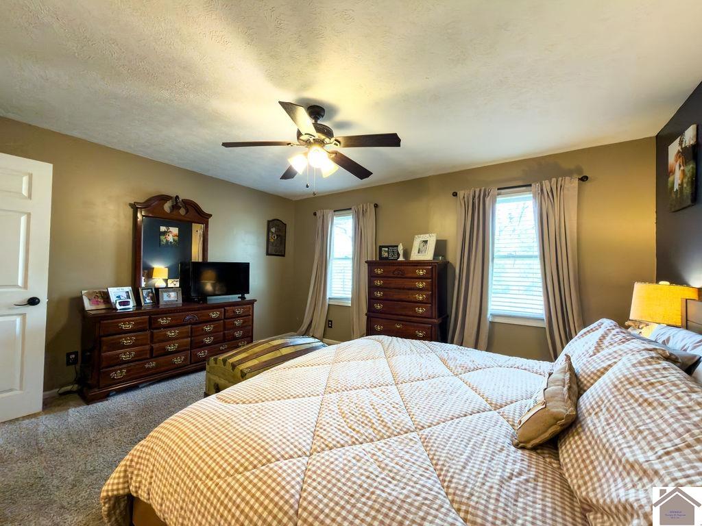 289 Partridge Lane, Mayfield, KY 42066 Listing Photo  11