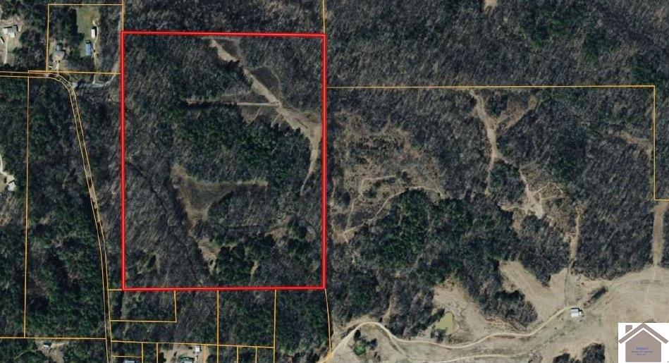 Austin Springs Rd, Dukedom, TN 38226 Listing Photo  1