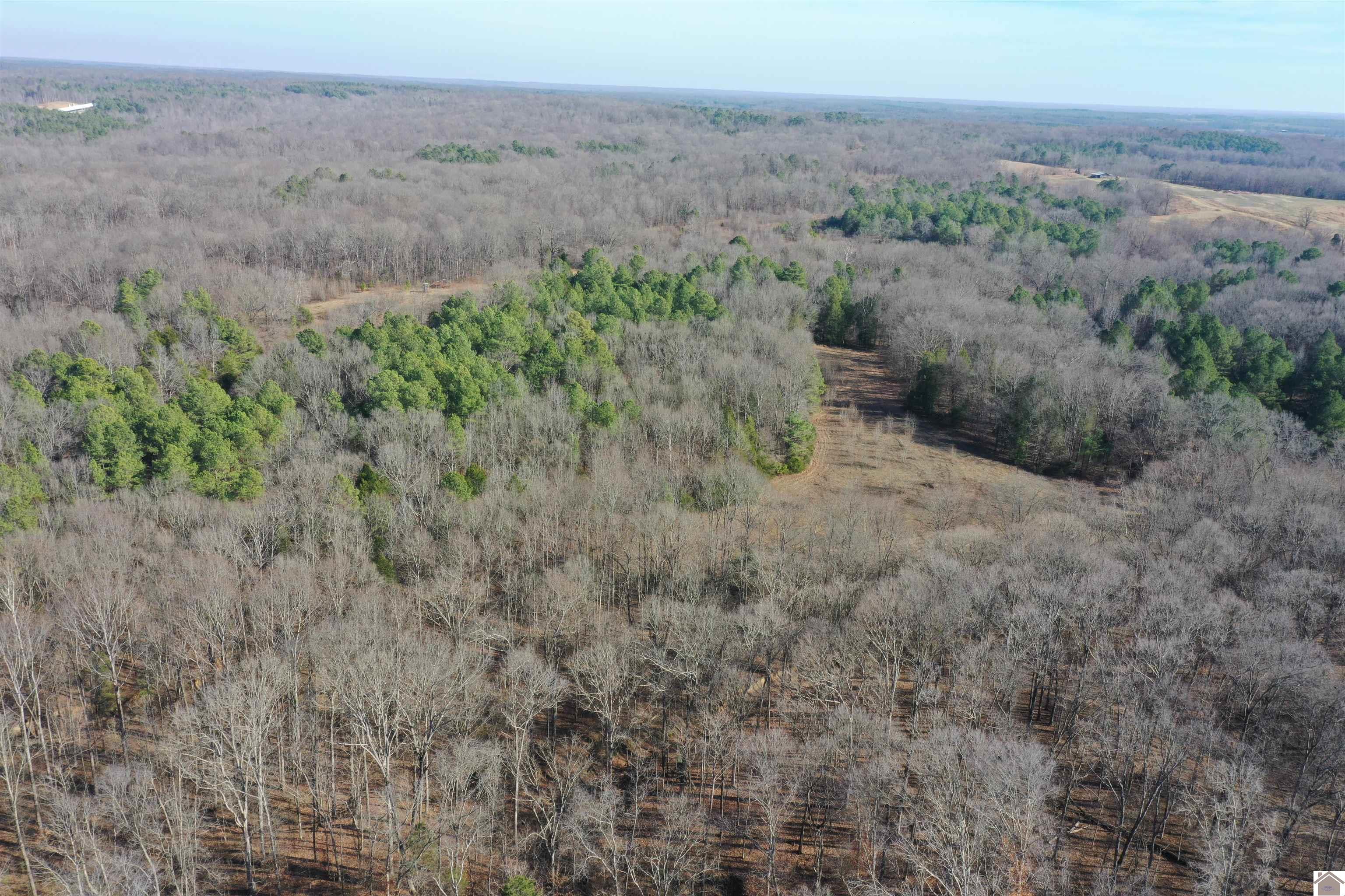Austin Springs Rd, Dukedom, TN 38226 Listing Photo  2