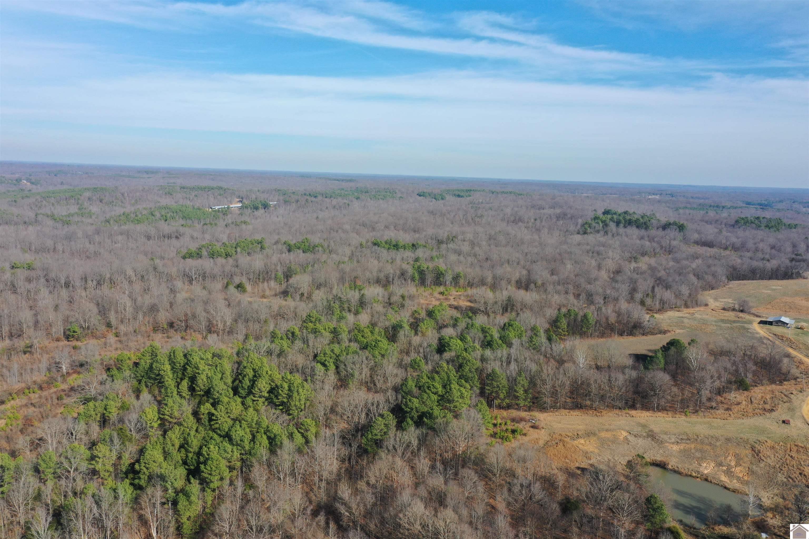Austin Springs Rd, Dukedom, TN 38226 Listing Photo  11