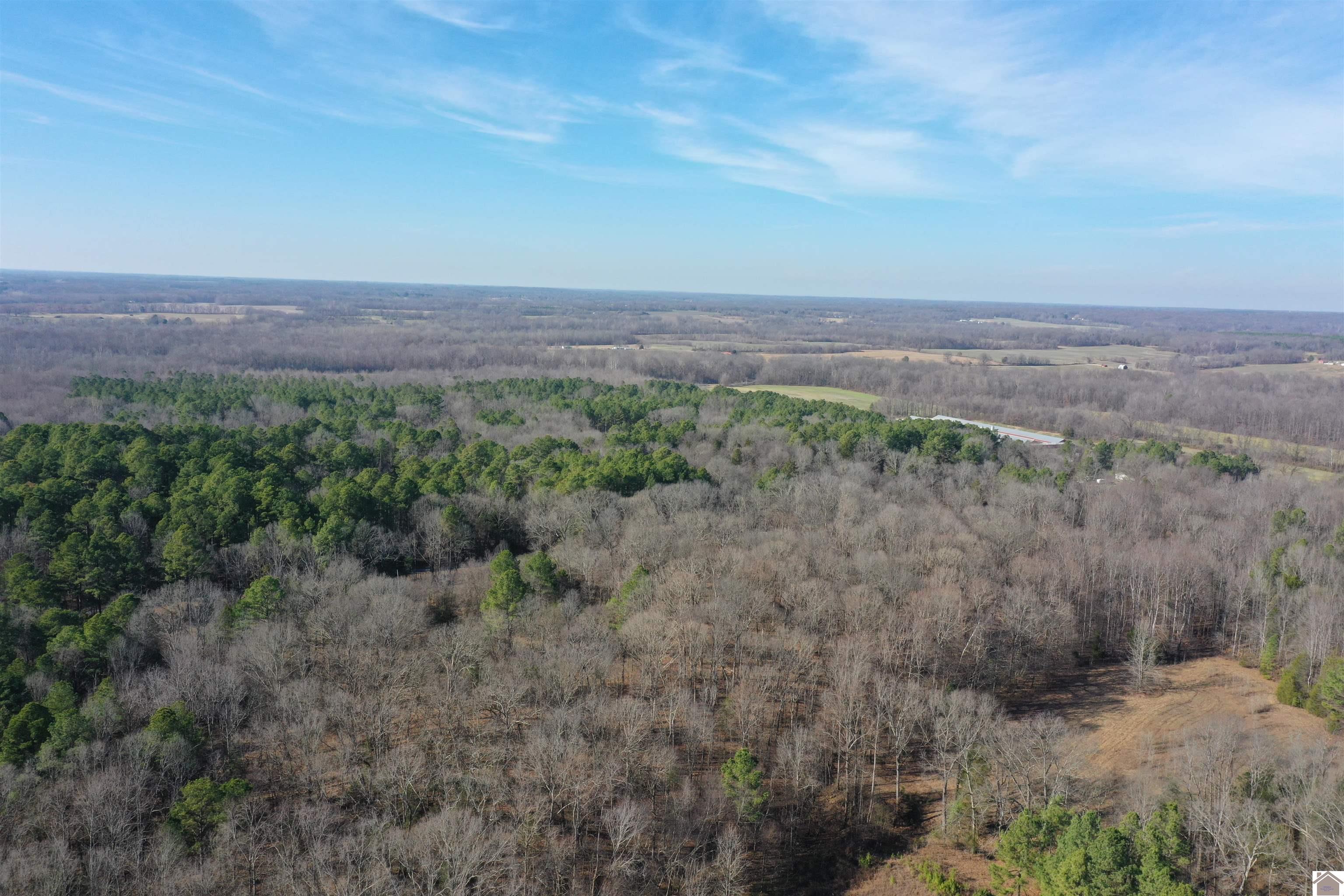 Austin Springs Rd, Dukedom, TN 38226 Listing Photo  12