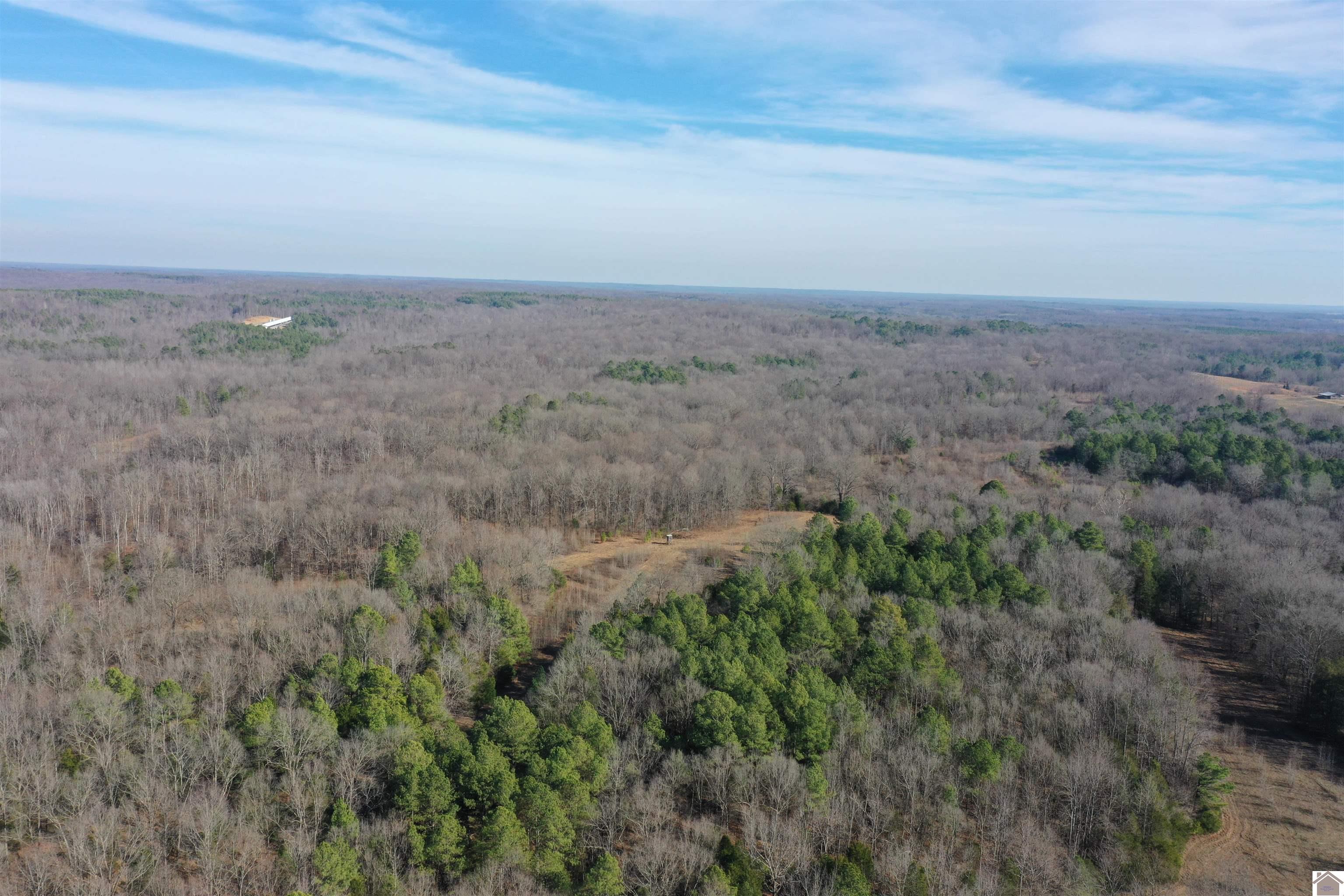 Austin Springs Rd, Dukedom, TN 38226 Listing Photo  14