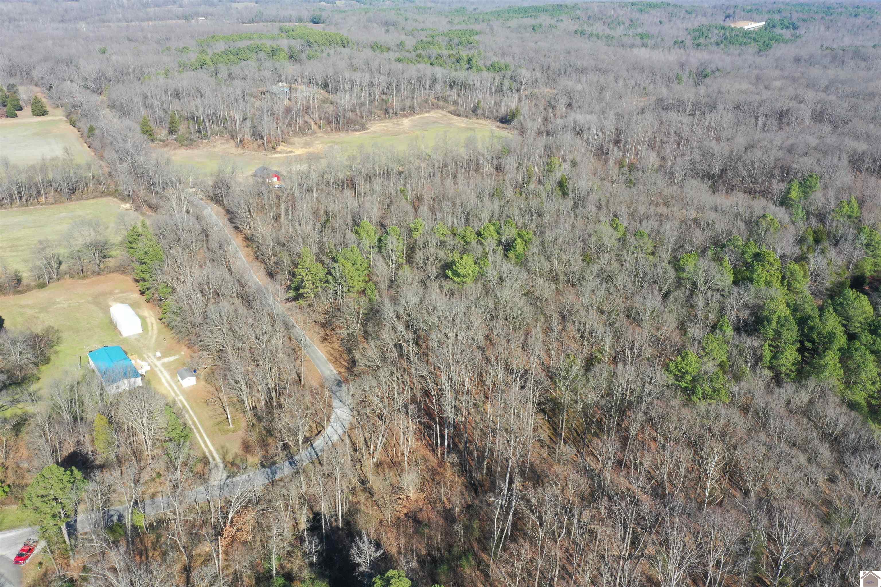 Austin Springs Rd, Dukedom, TN 38226 Listing Photo  15