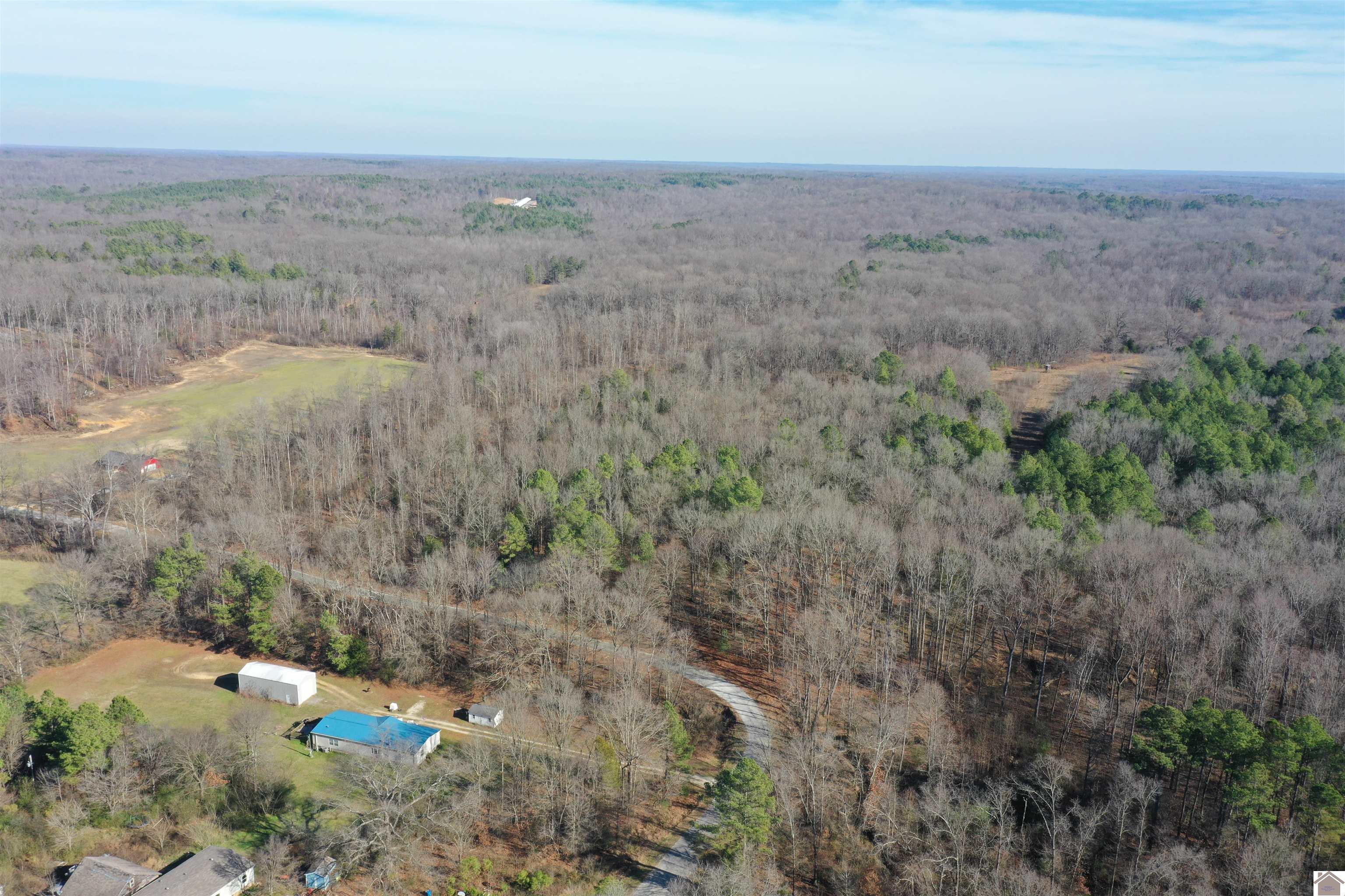 Austin Springs Rd, Dukedom, TN 38226 Listing Photo  16