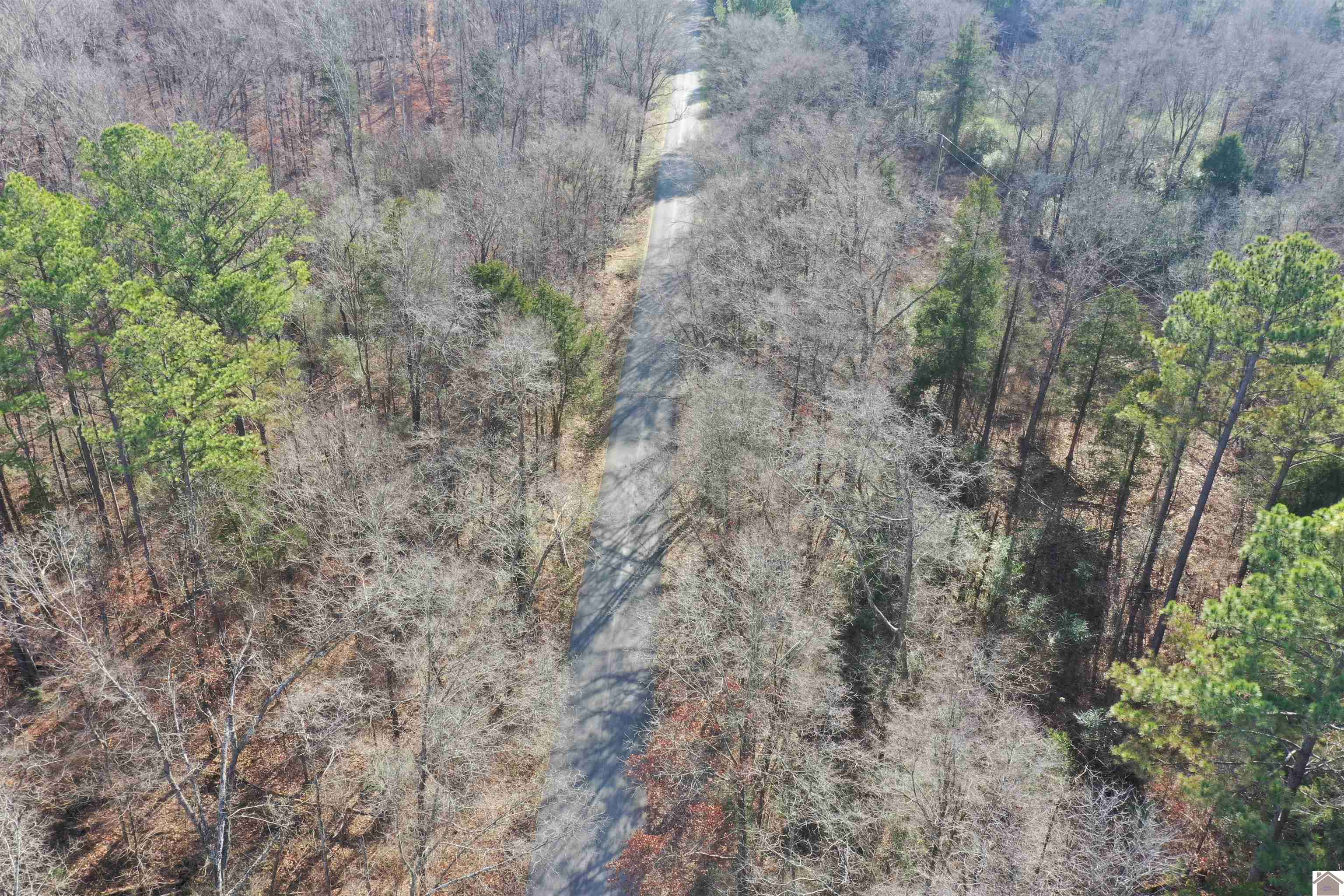 Austin Springs Rd, Dukedom, TN 38226 Listing Photo  17