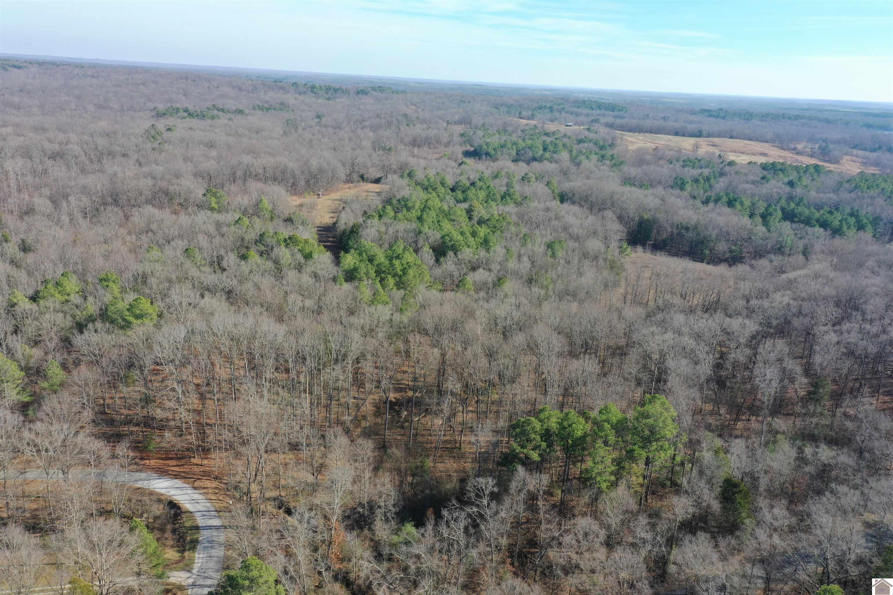 Austin Springs Rd, Dukedom, TN 38226 Listing Photo  18