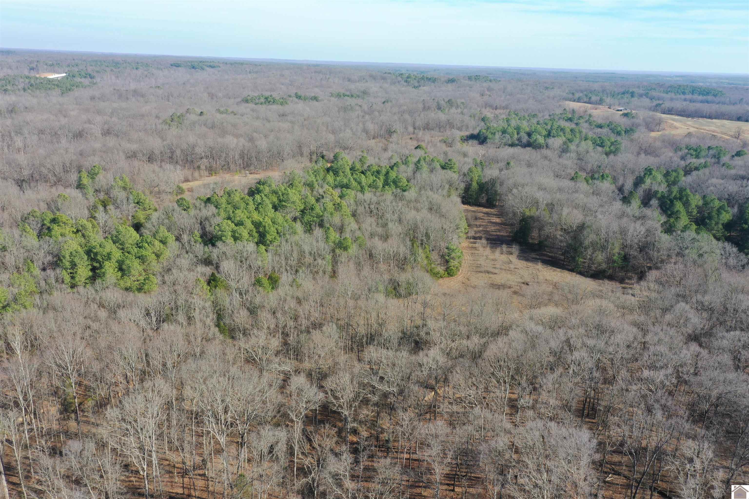 Austin Springs Rd, Dukedom, TN 38226 Listing Photo  19