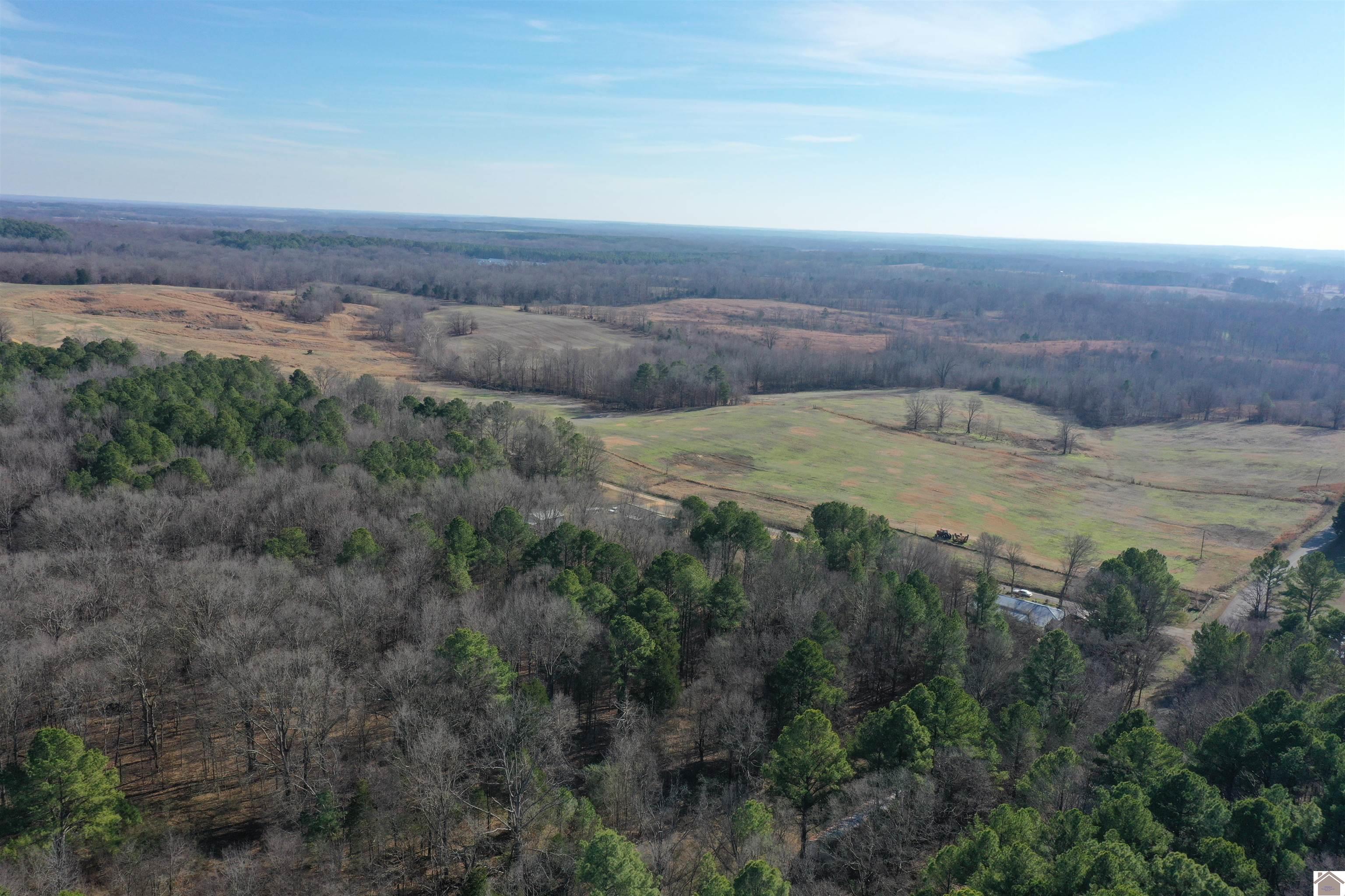 Austin Springs Rd, Dukedom, TN 38226 Listing Photo  4