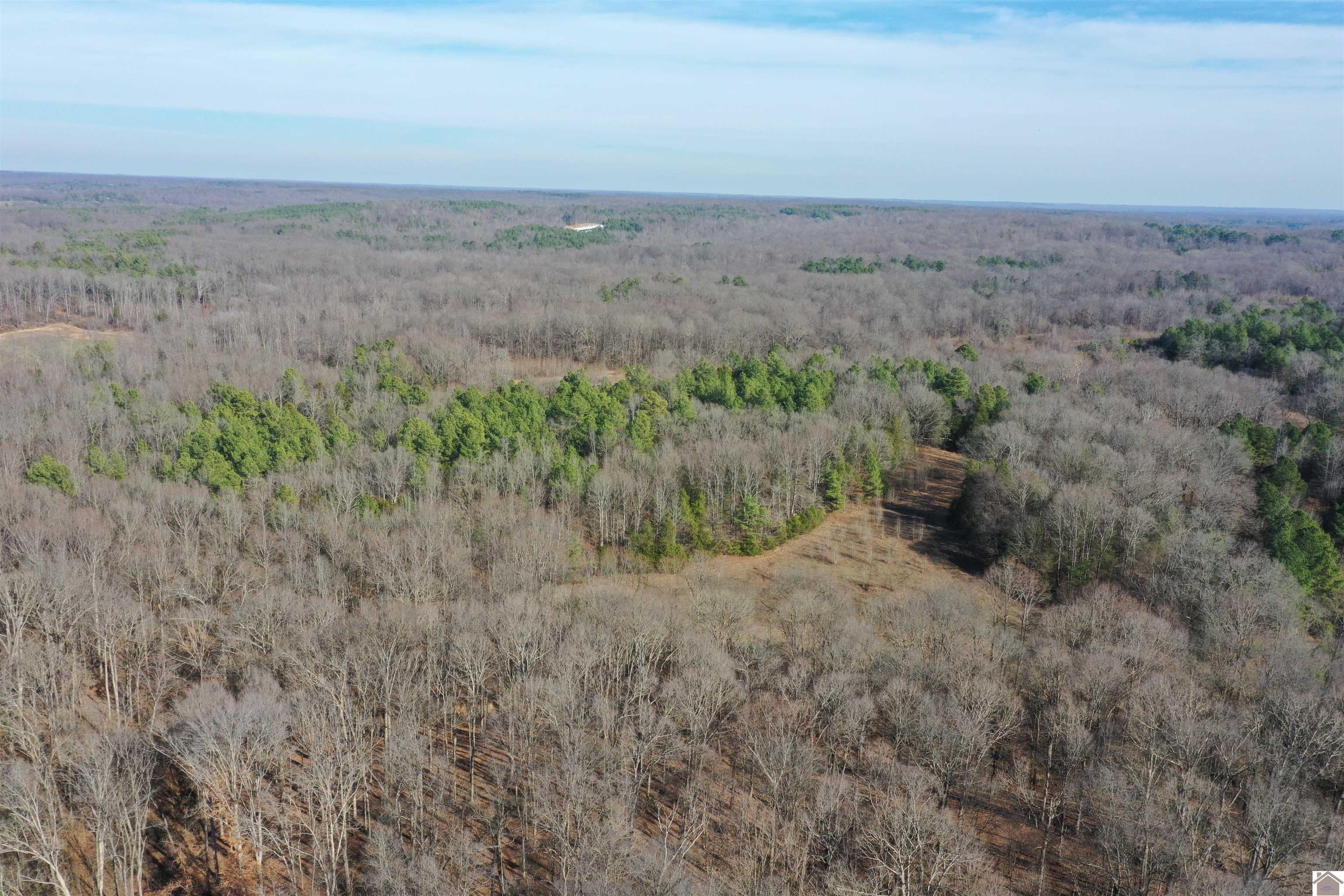 Austin Springs Rd, Dukedom, TN 38226 Listing Photo  6