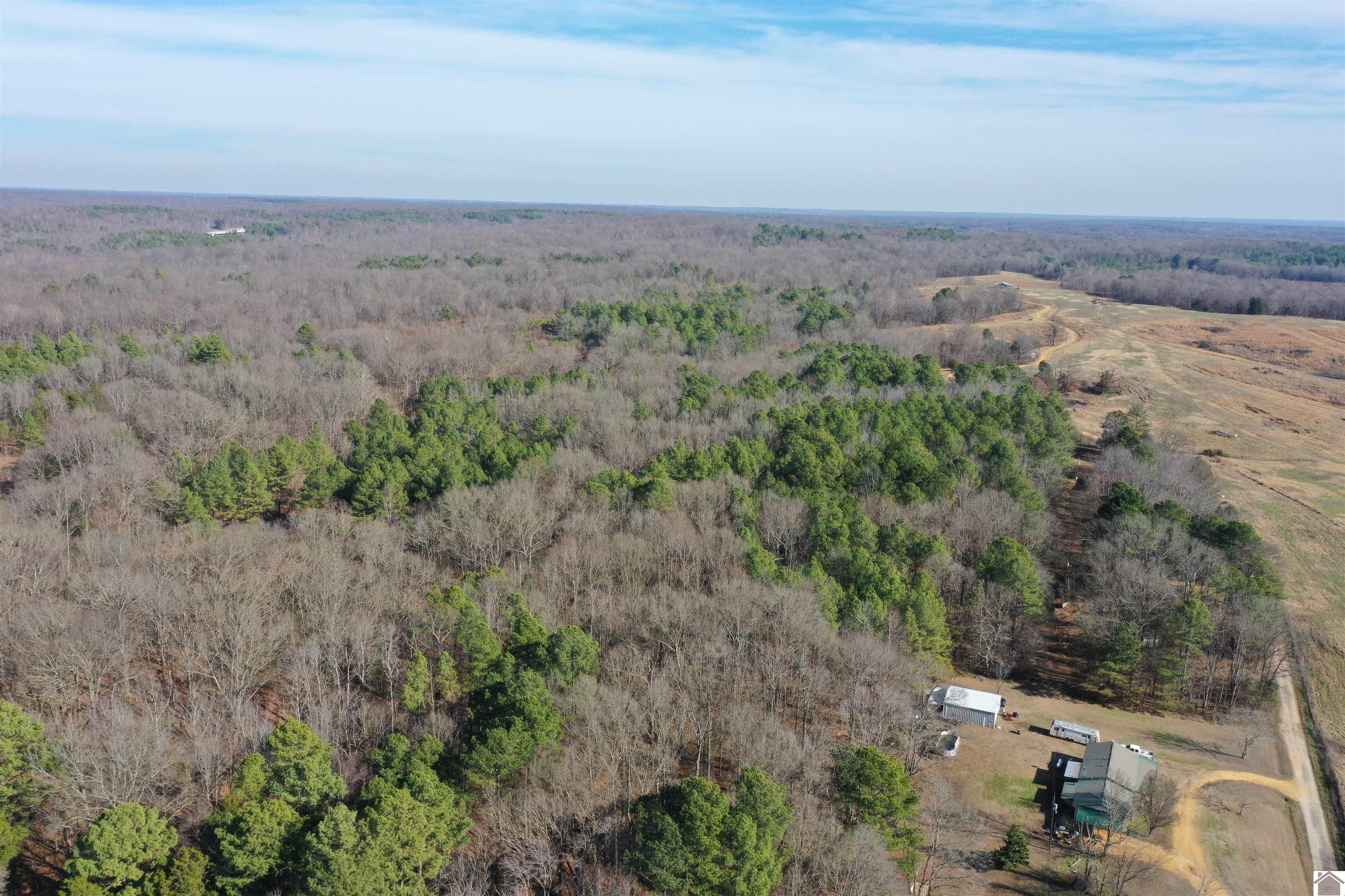 Austin Springs Rd, Dukedom, TN 38226 Listing Photo  7