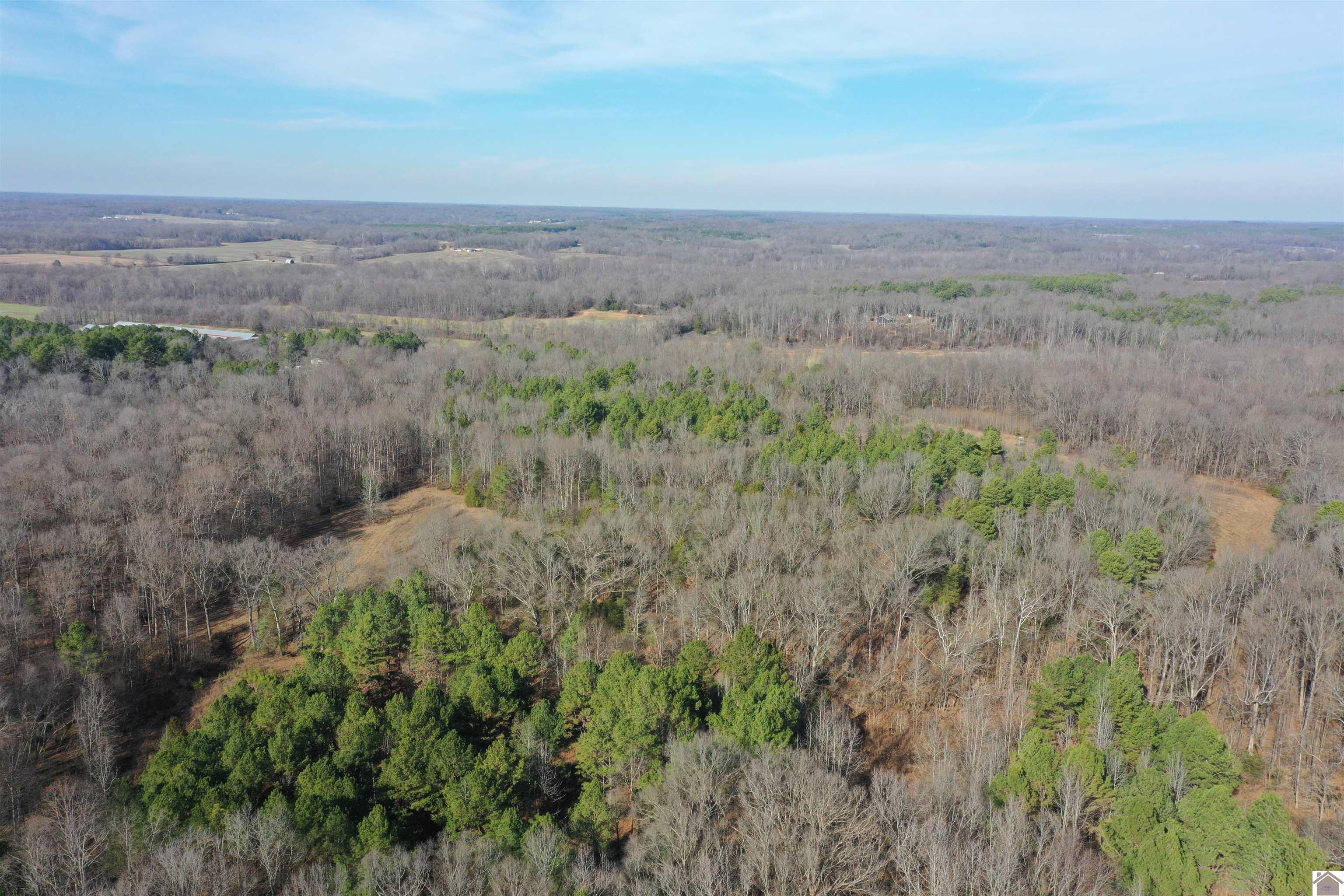 Austin Springs Rd, Dukedom, TN 38226 Listing Photo  8